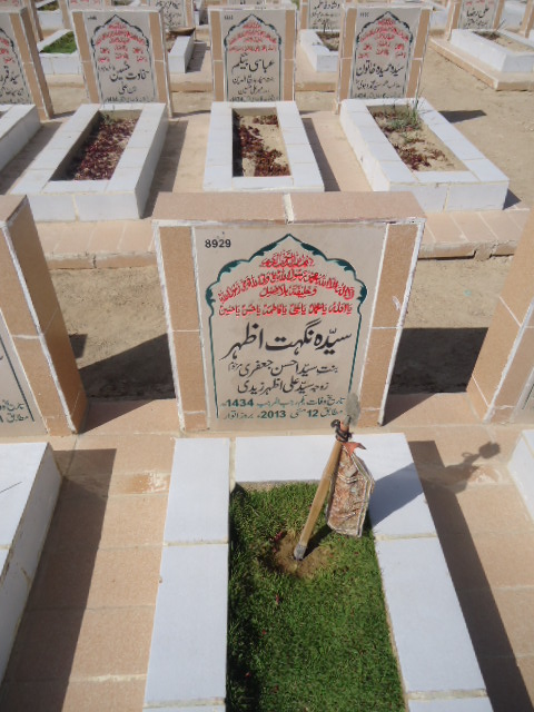 8929 – Syeda Nighat Azhar