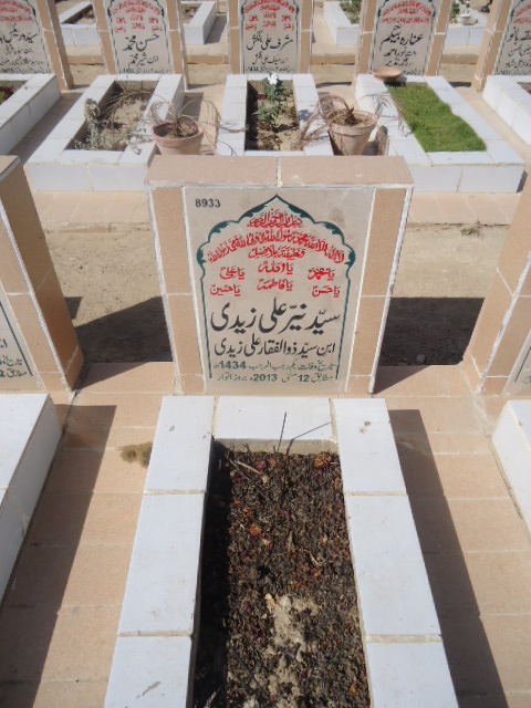 8933 – Syed Nayyer Ali Zaidi