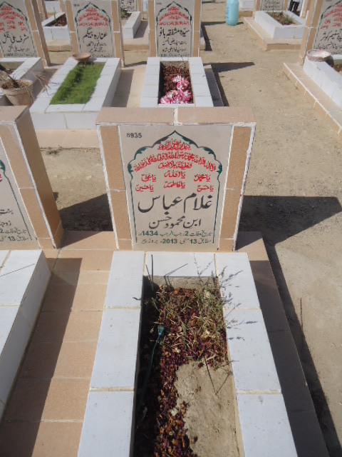 8935 – Ghulam Abbas