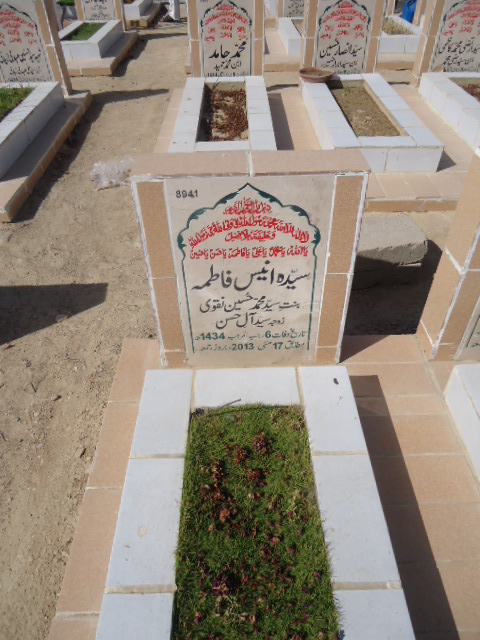 8941 – Syeda Anees Fatima