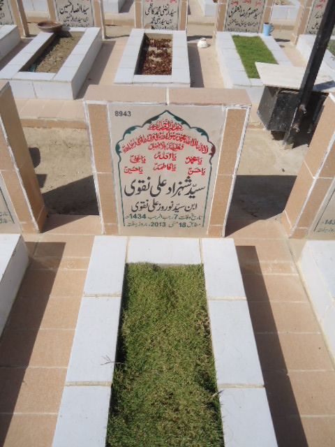 8943 – Syed Shahzad Ali Naqvi