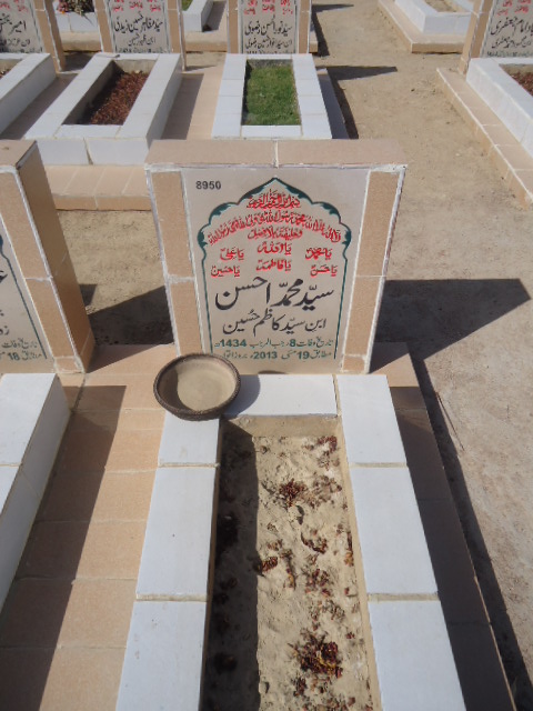 8950 – Syed Muhammad Ahsan