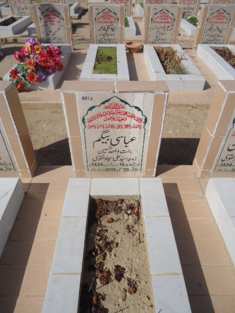 8972 – Abbasi Begum