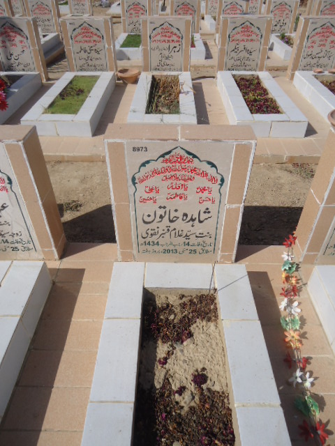 8973 – Shahida Khatoon