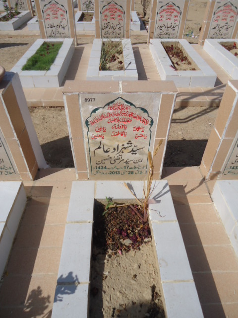 8977 – Syed Shahzad Alam