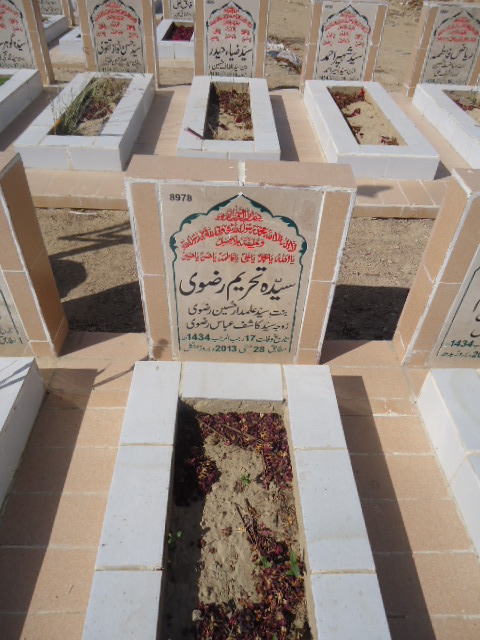 8978 – Syeda Tehreem Rizvi