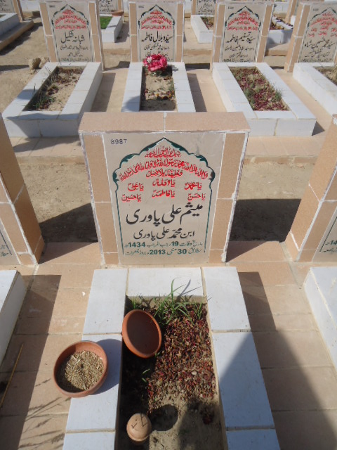 8987 – Misam Ali Pavari