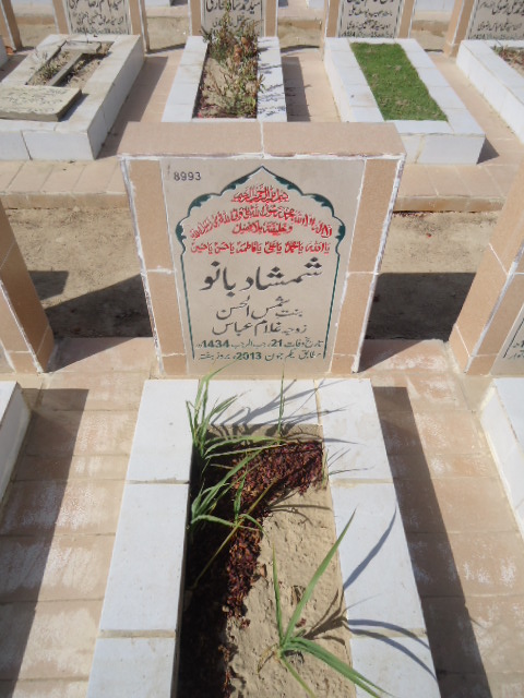 8993 – Shamshad Bano