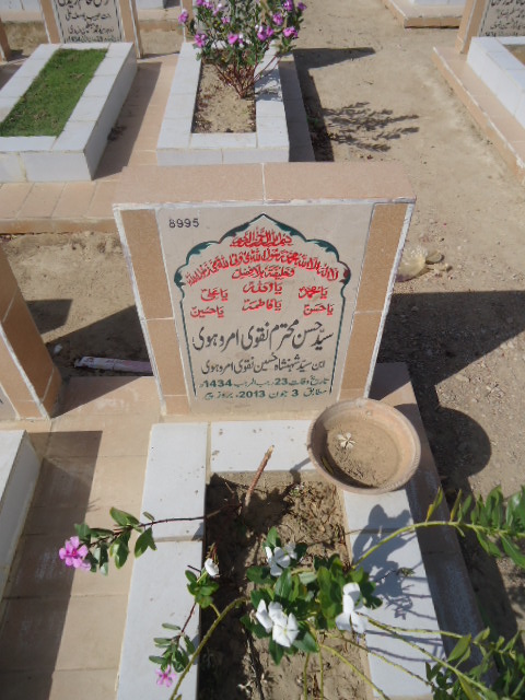 8995 – Syed Hasan Muhtaram Naqvi