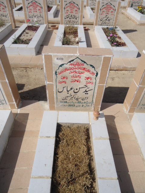 8999 – Syed Hasan Abbas
