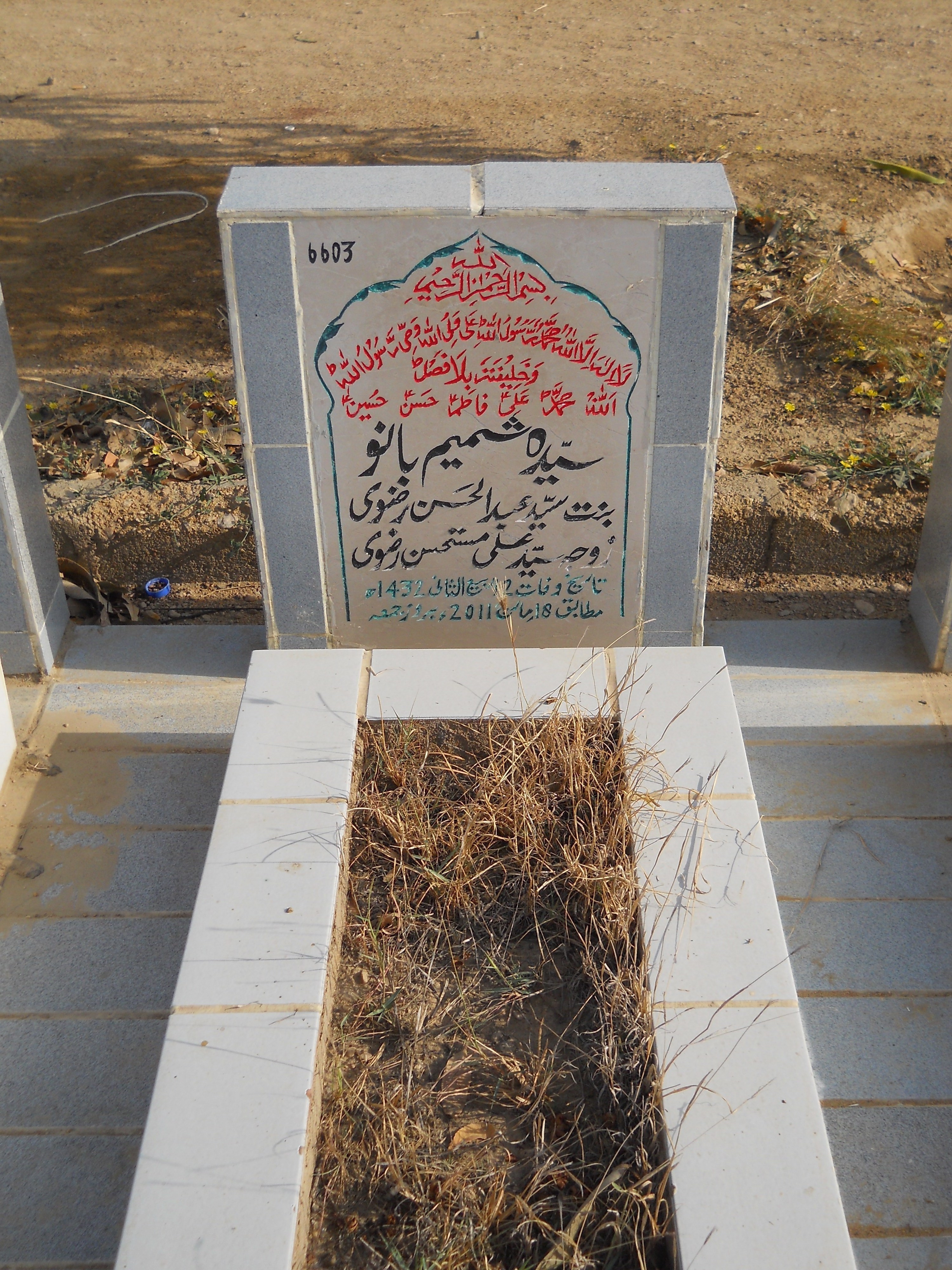 6603 – Syeda Shamim Bano