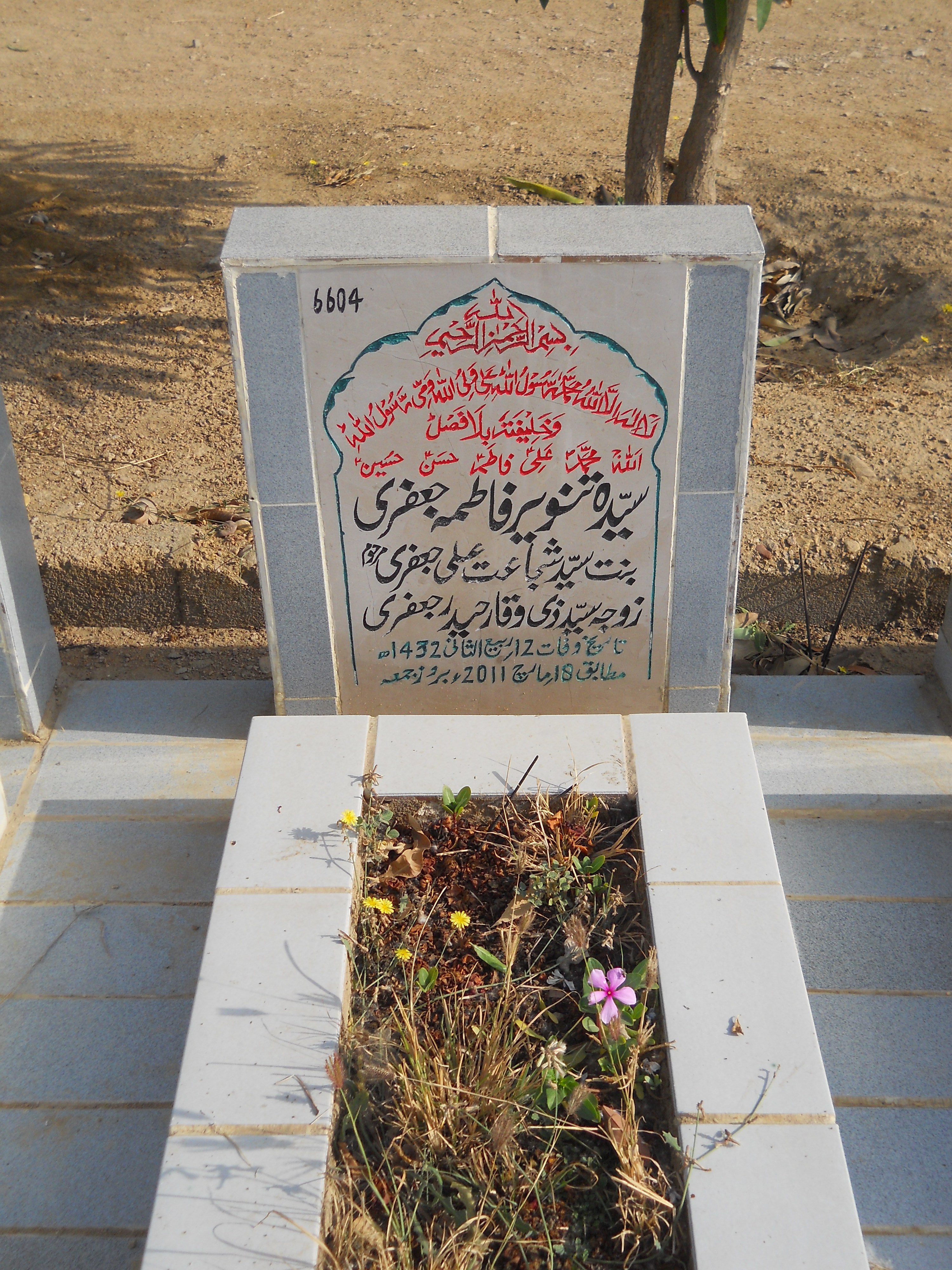 6604 – Syeda Tanveer Fatima Jaffery