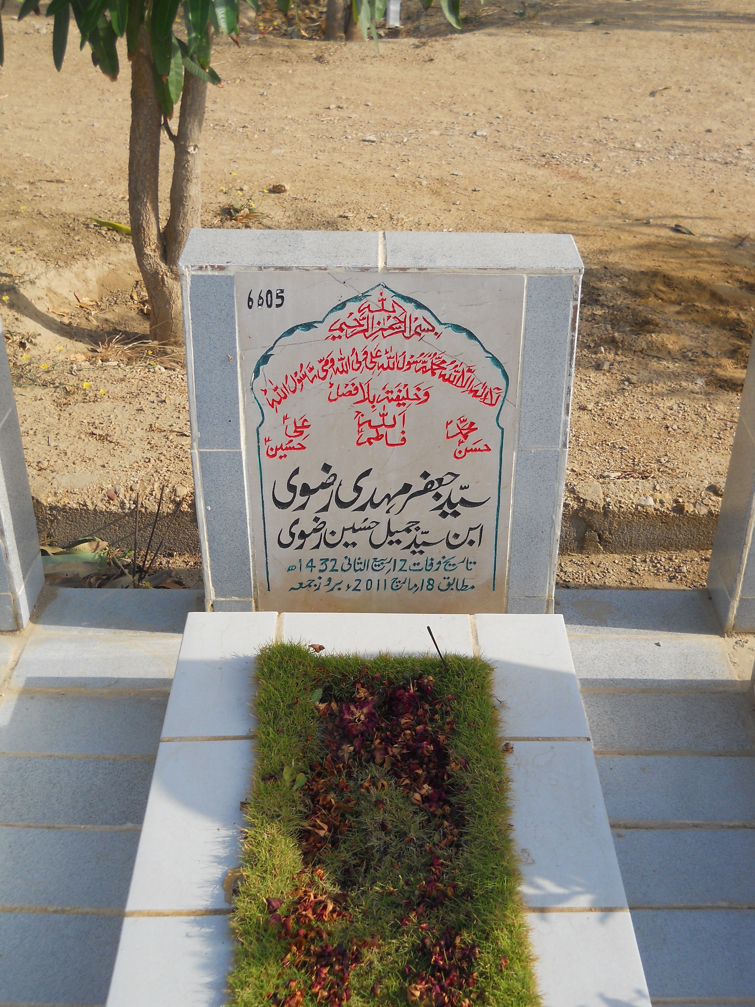 6605 – Syed Jafar Mehdi Rizvi