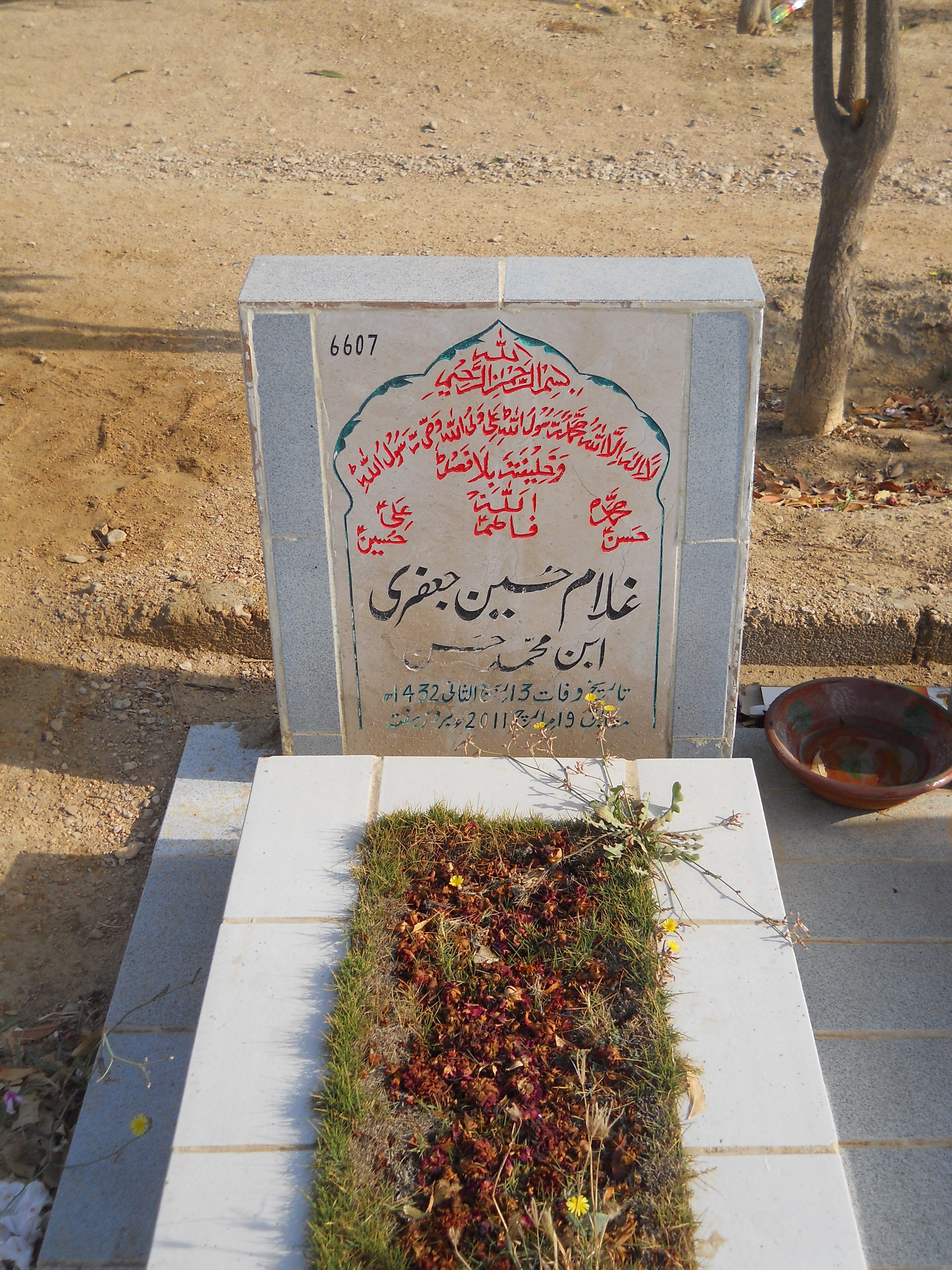 6607 – Ghulam Fatima