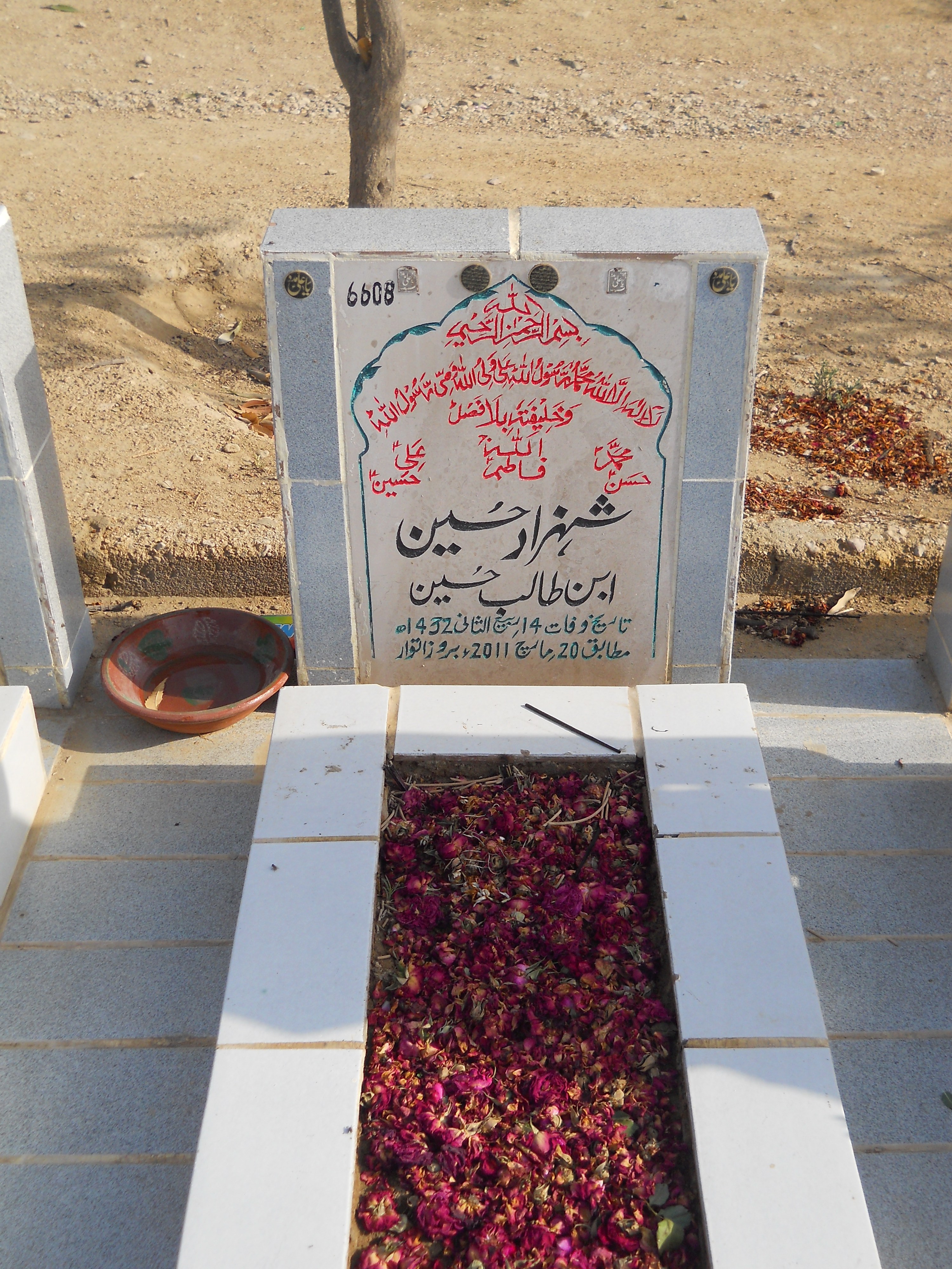 6608 – Shahzad Hussain