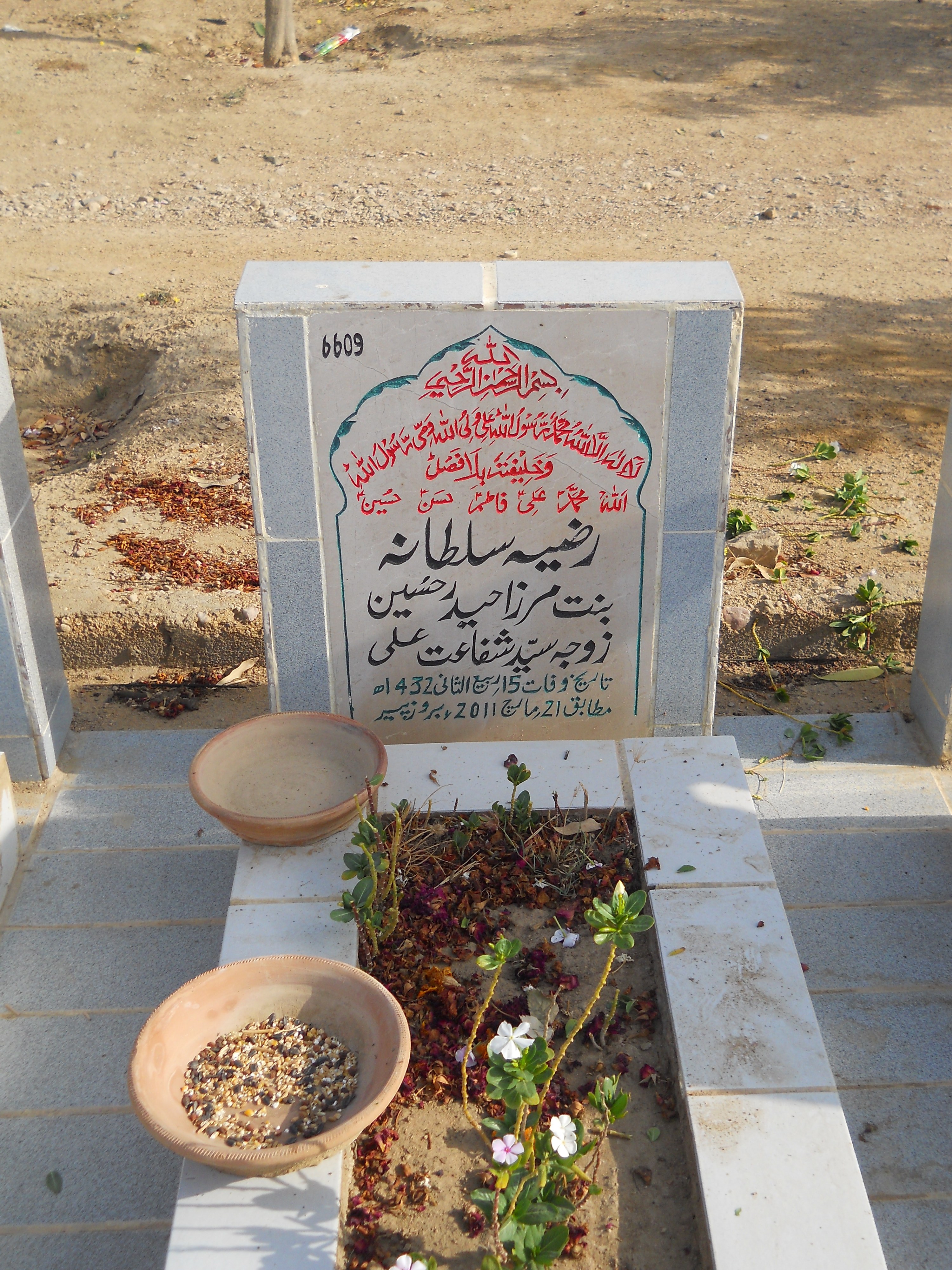 6609 – Razia Sultana
