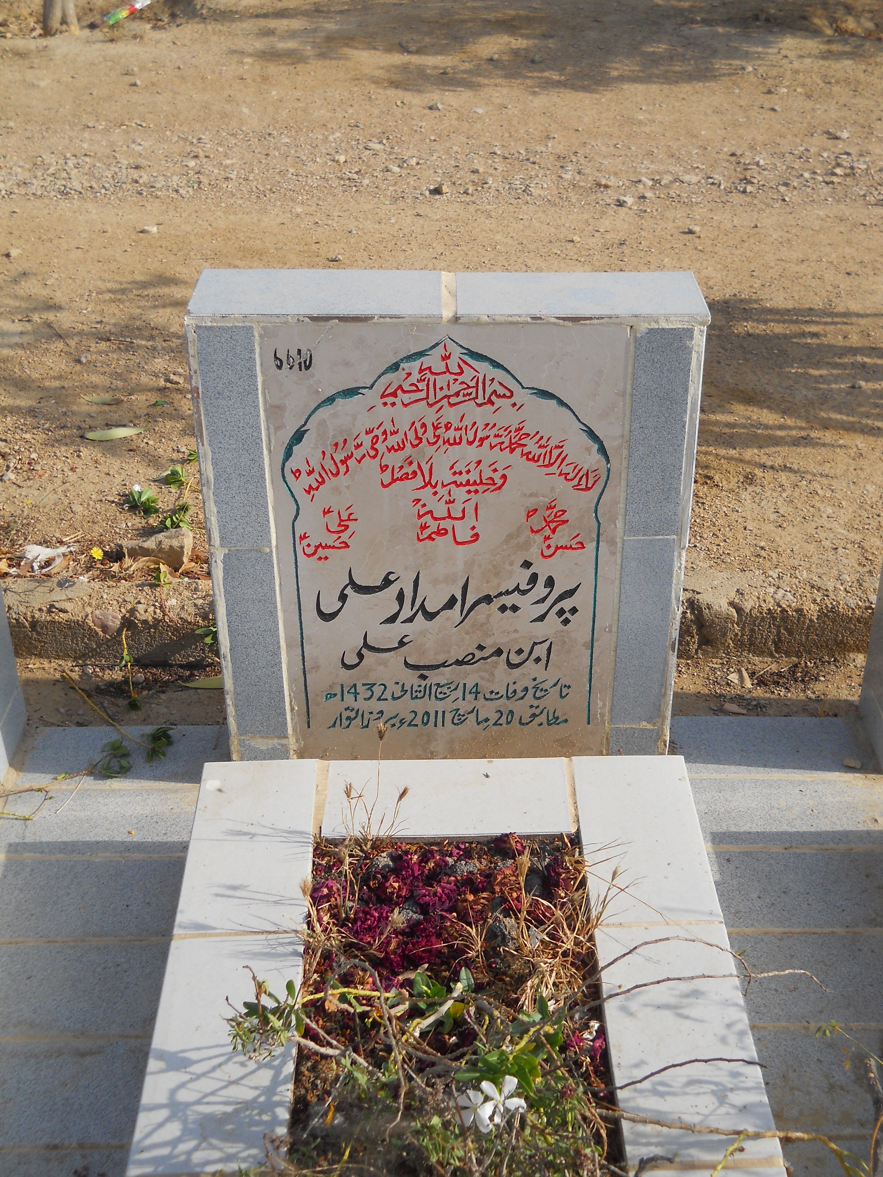 6610 – Prof Imdad Ali