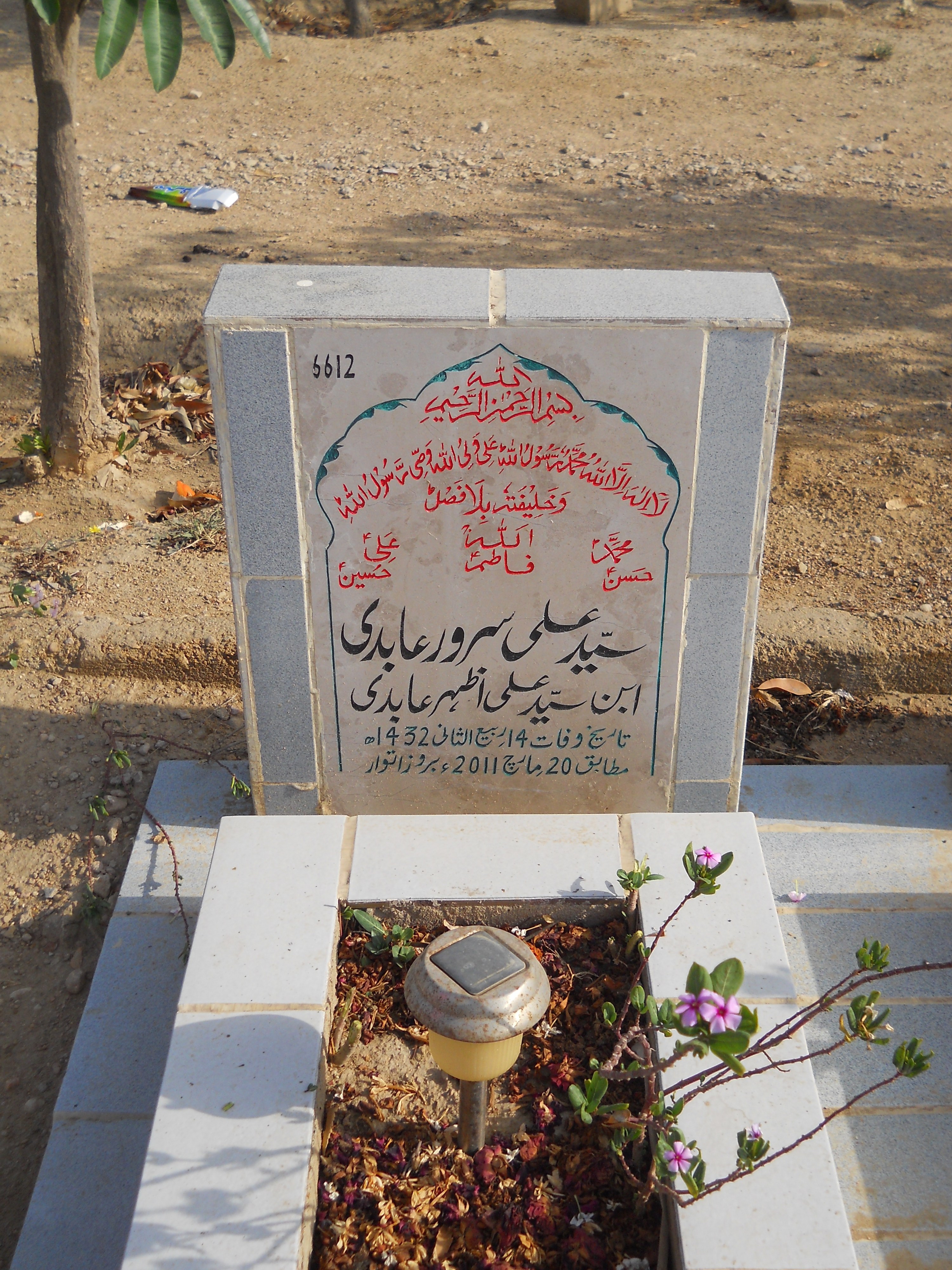 6612 – Syed Ali Sarwar Abidi