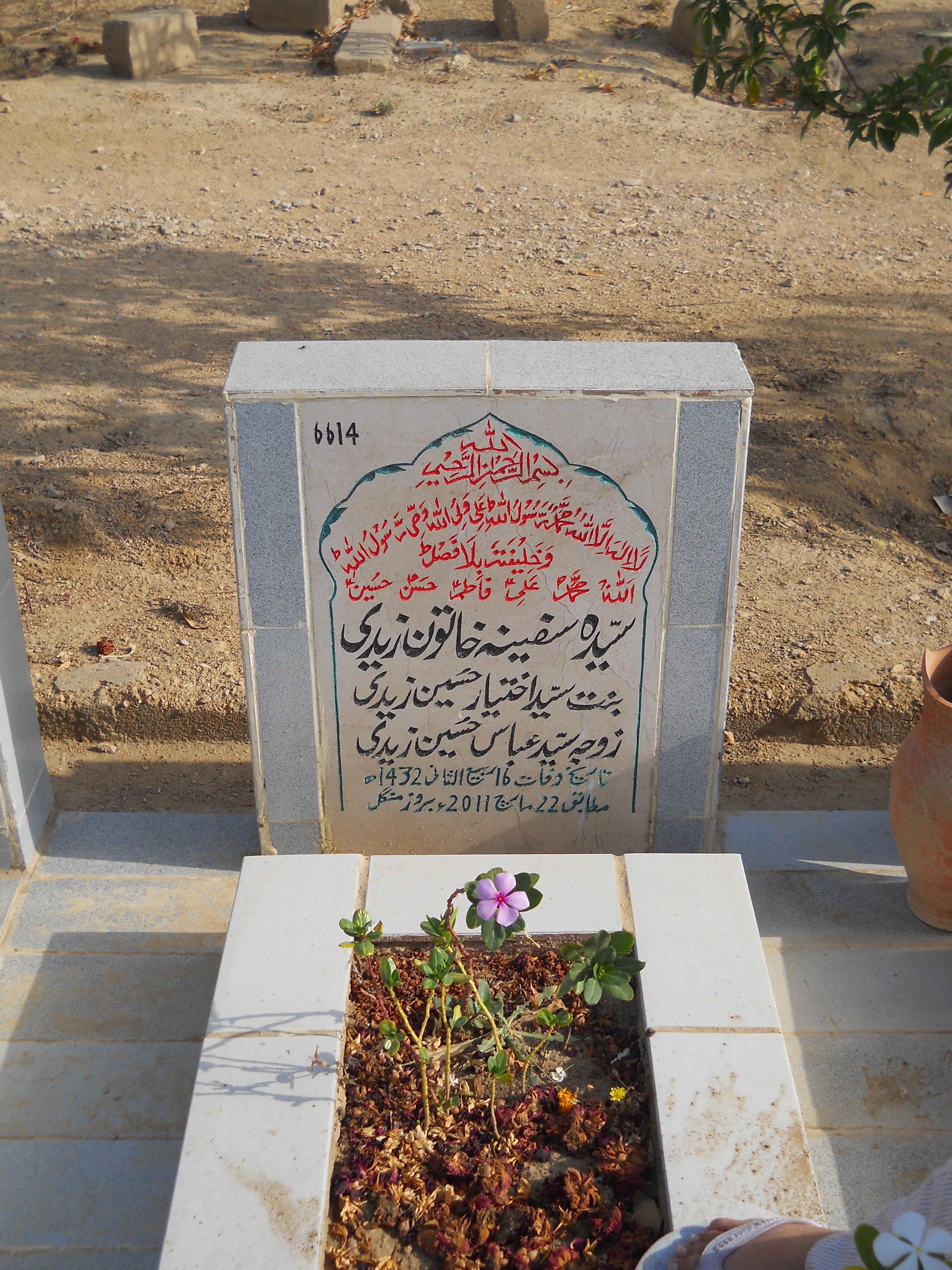 6614 – Syeda Safina Khatoon Zaidi