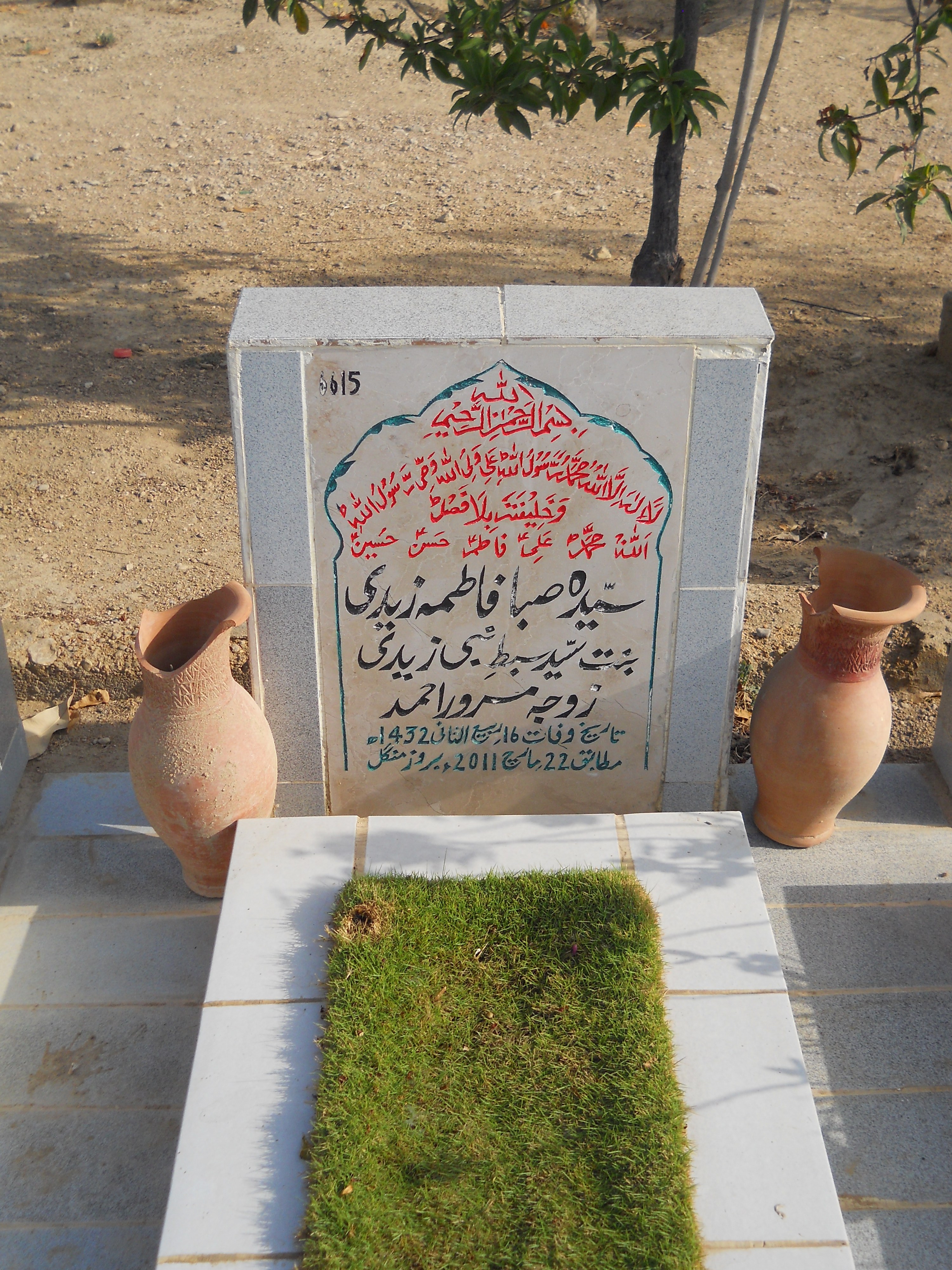 6615 – Syeda Saba Fatima Zaidi
