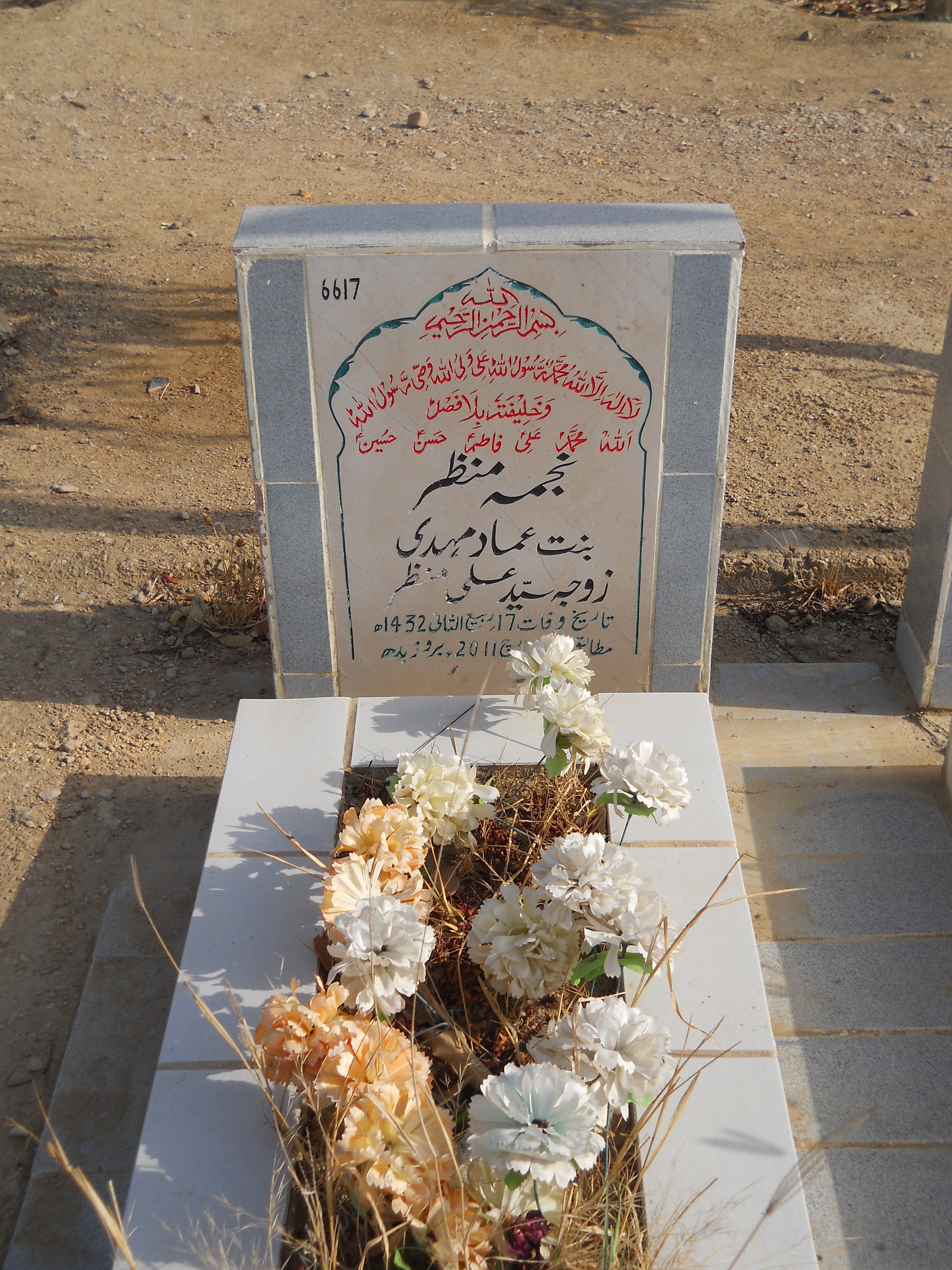 6617 – Najma Manzar