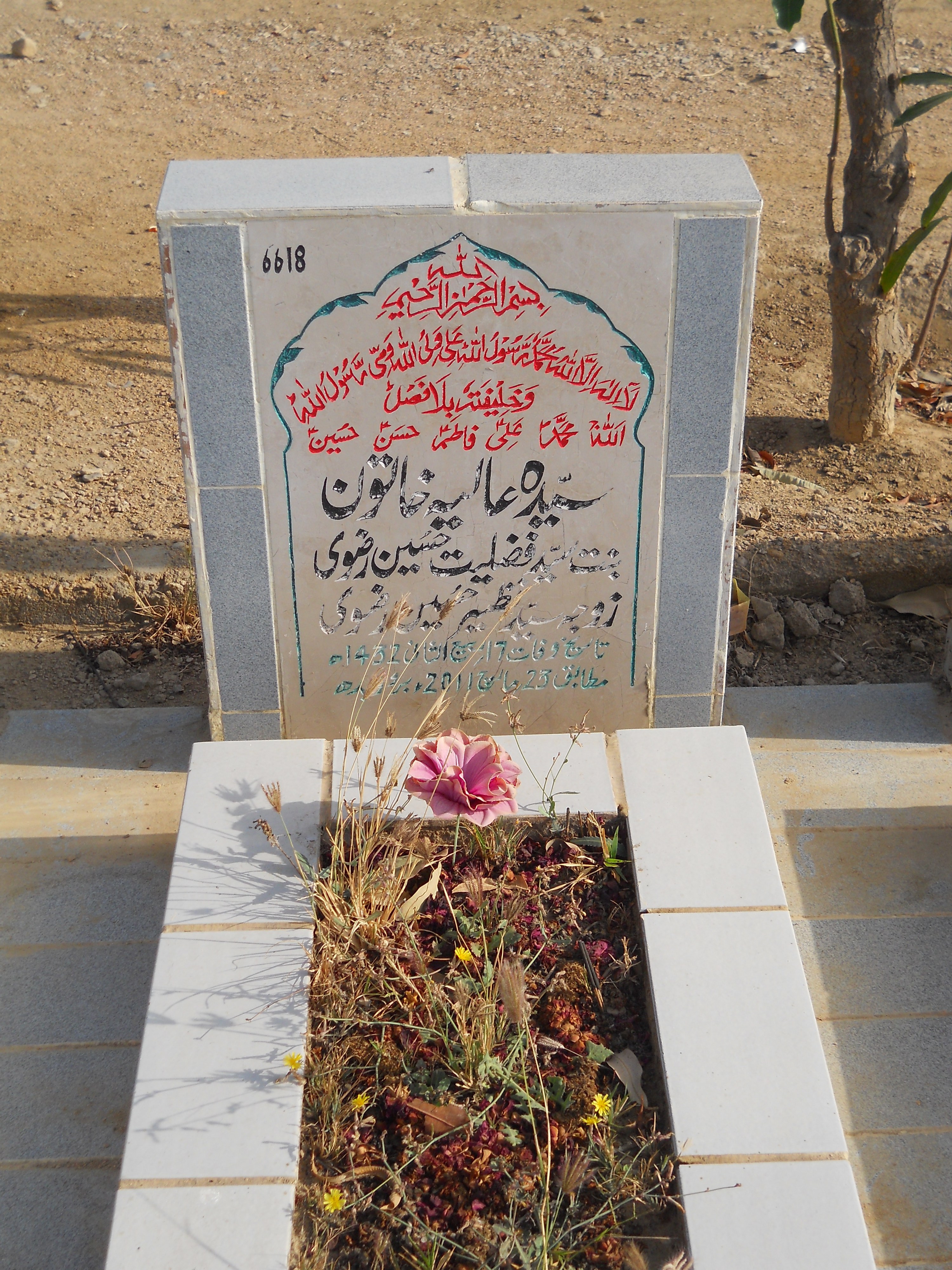 6618 – Syeda Aliya Khatoon