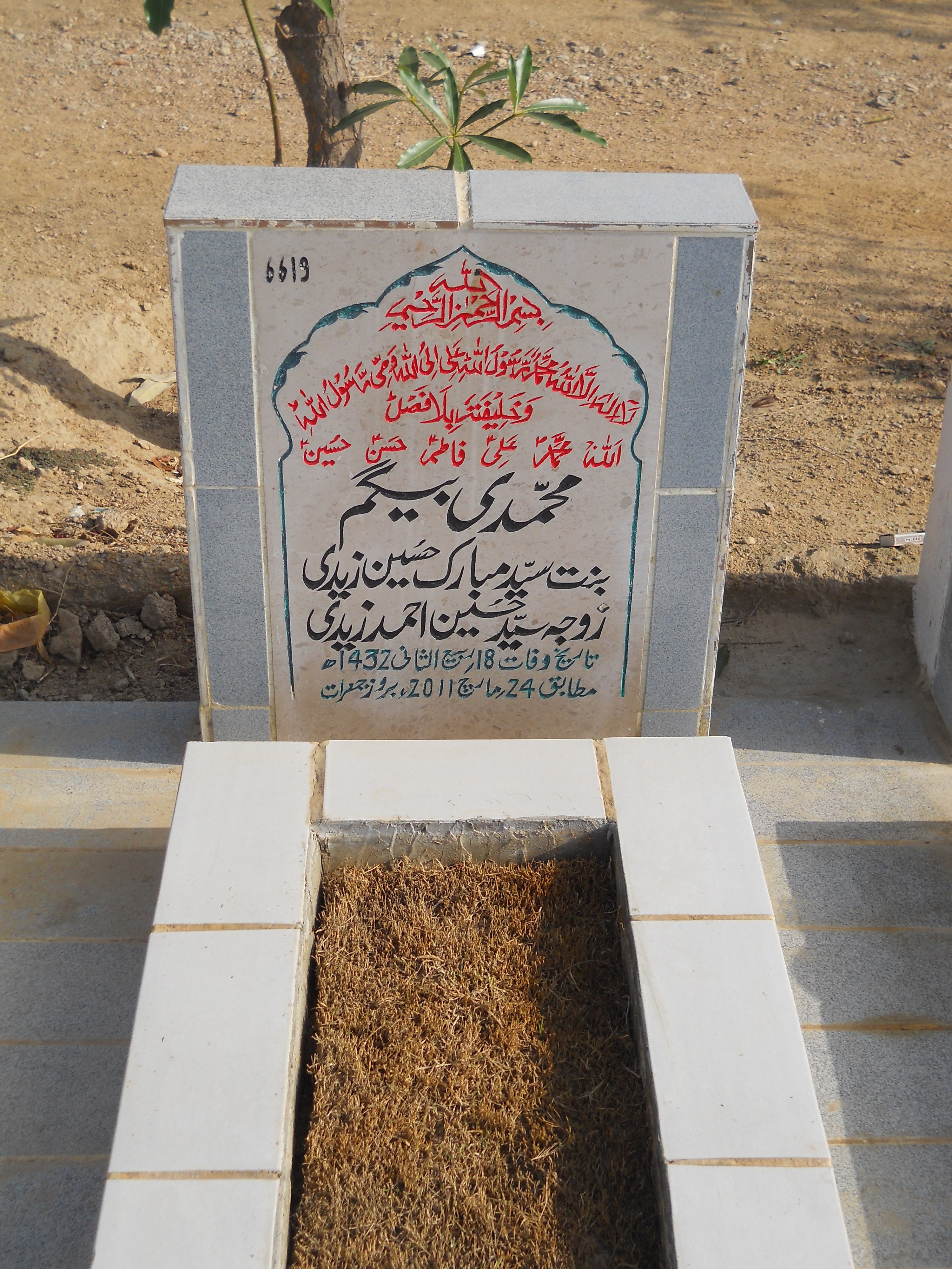 6619 – Muhammadi Begum