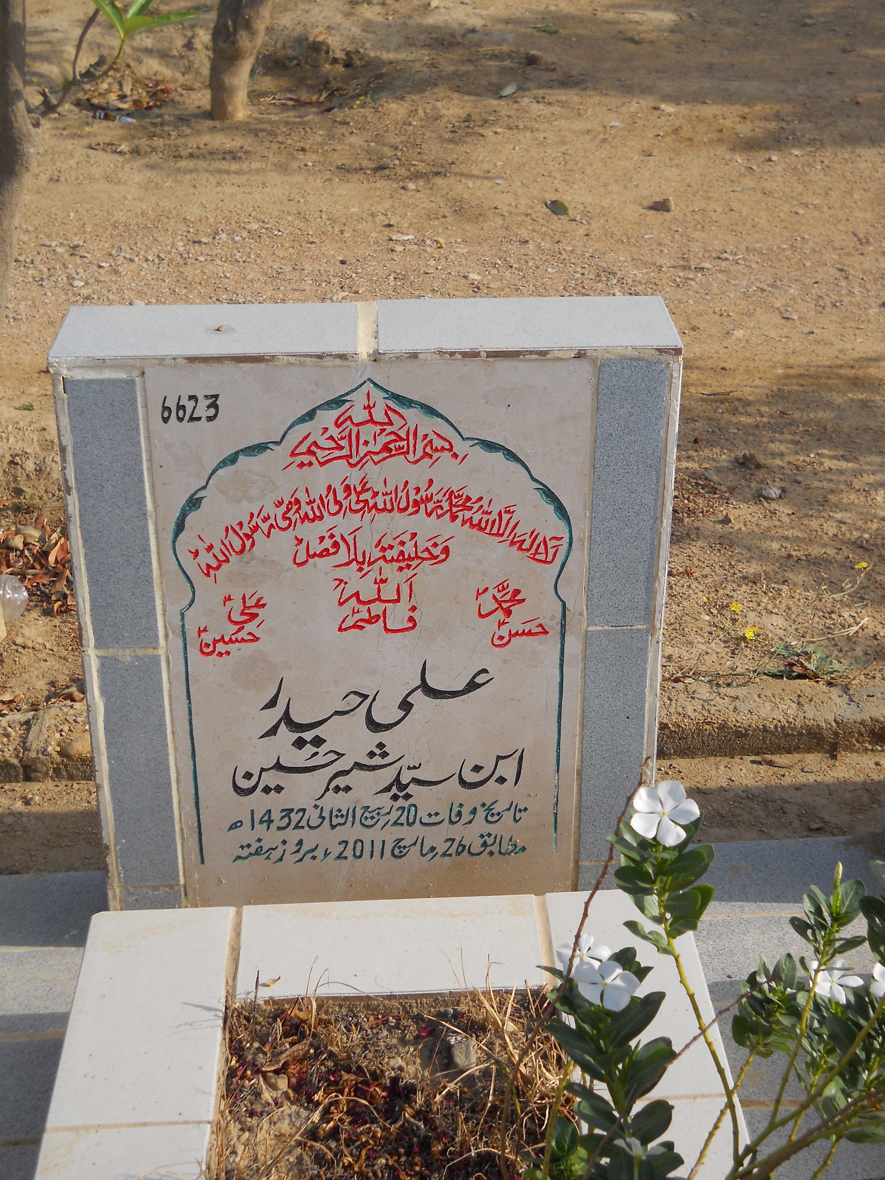 6623 – Ali Haider