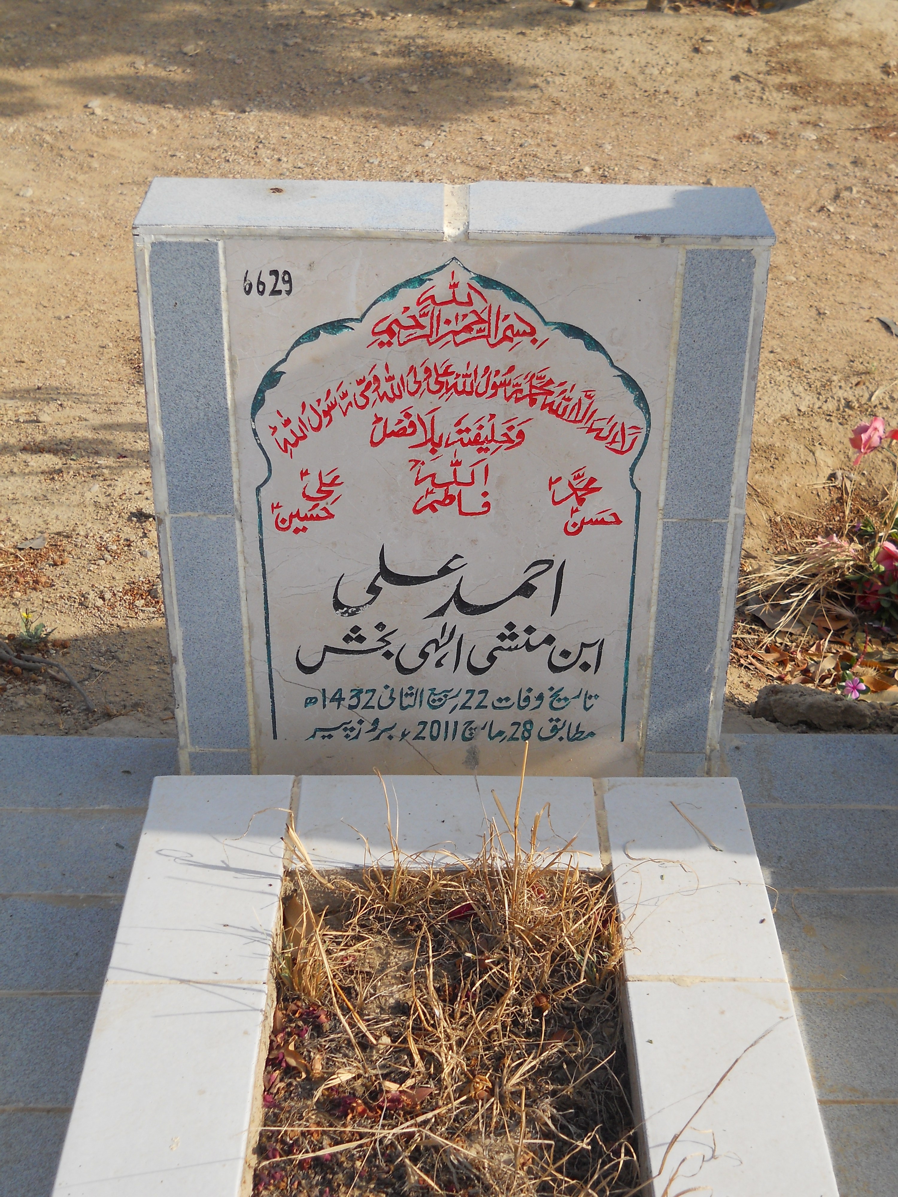 6629 – Ahmed Ali