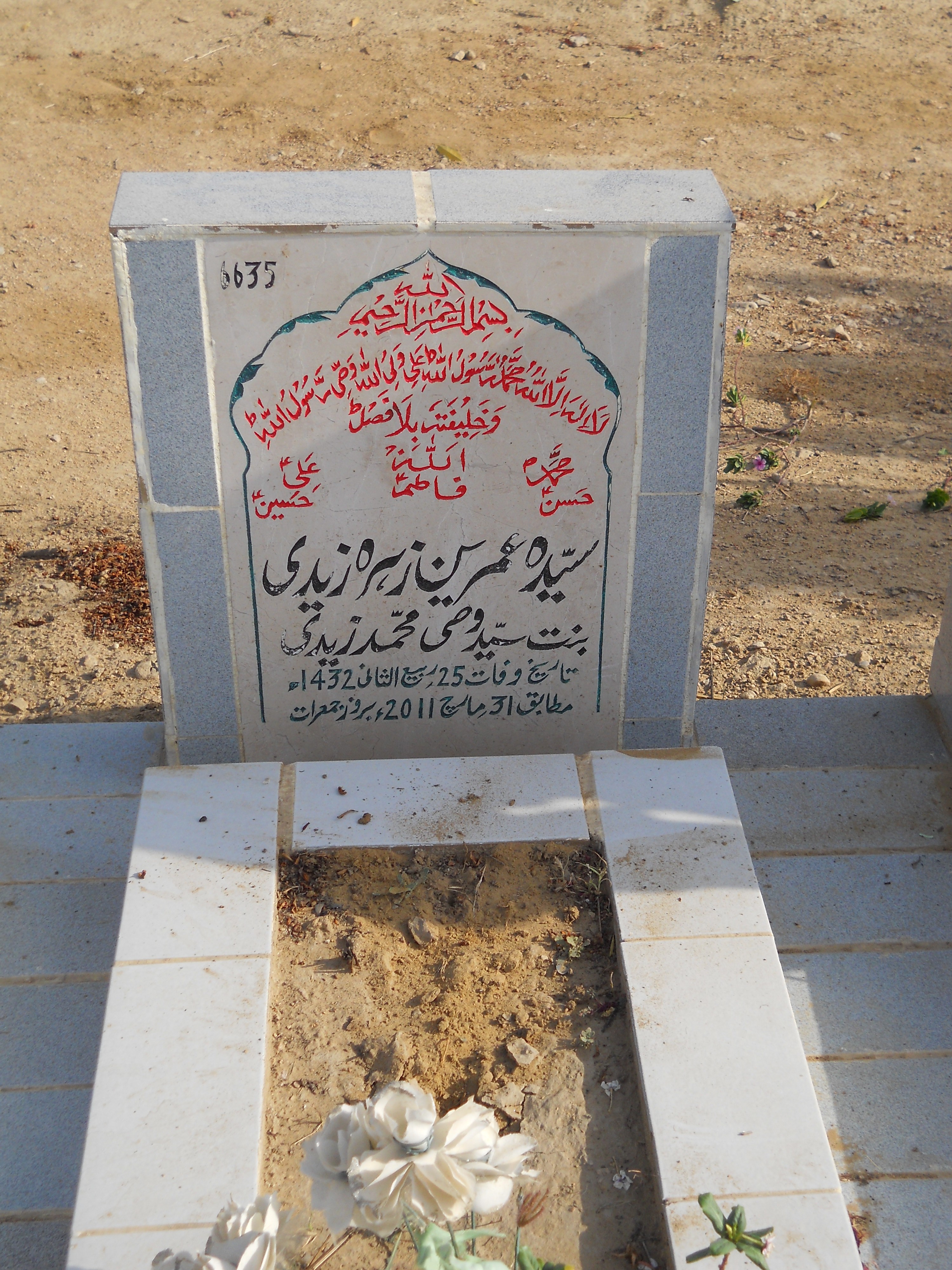 6635 – Syeda Umbereen Zehra Zaidi