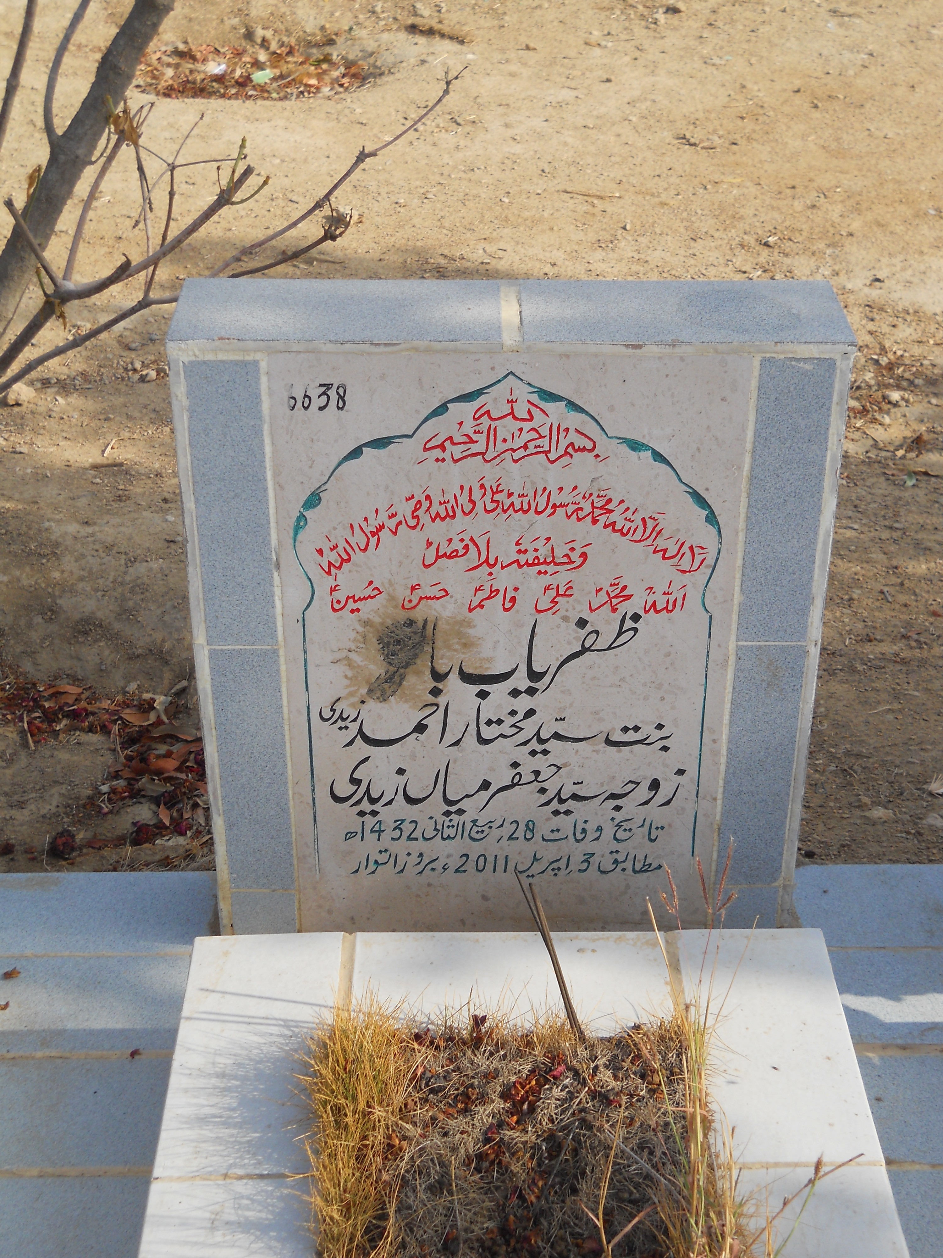 6638 – Zafaryab Bano
