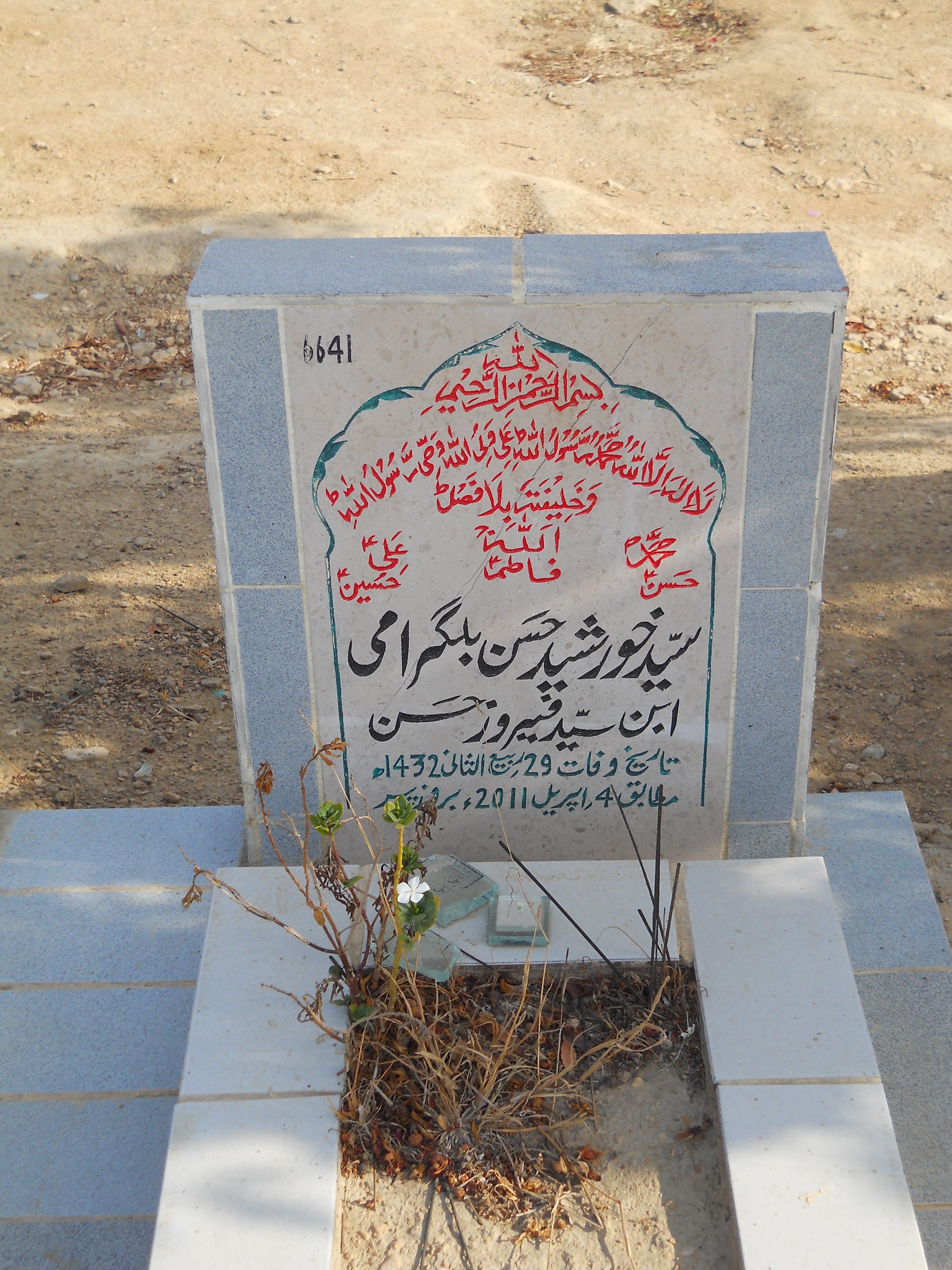 6641 – Syed Khursheed Hasan Bilgirami