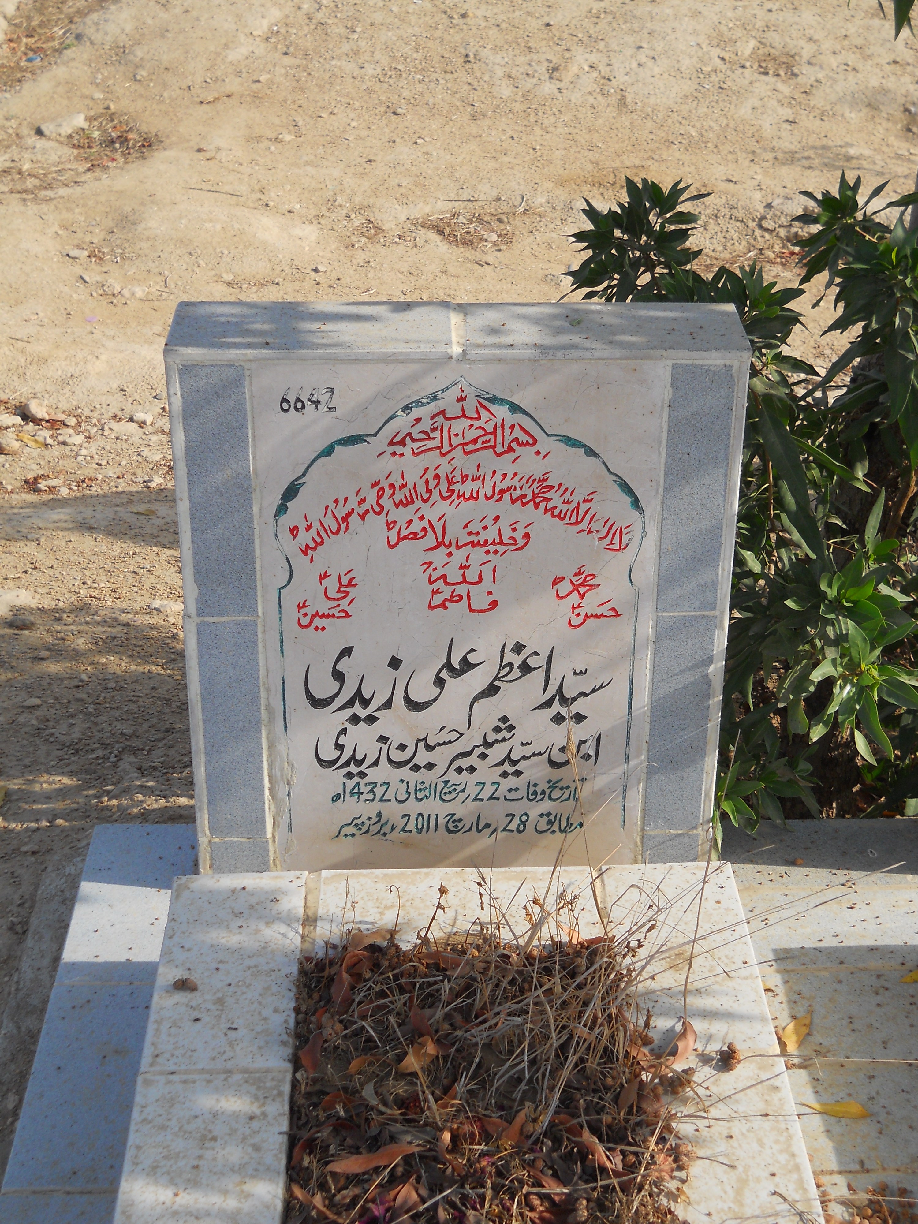 6642 – Syed Azam Ali Zaidi