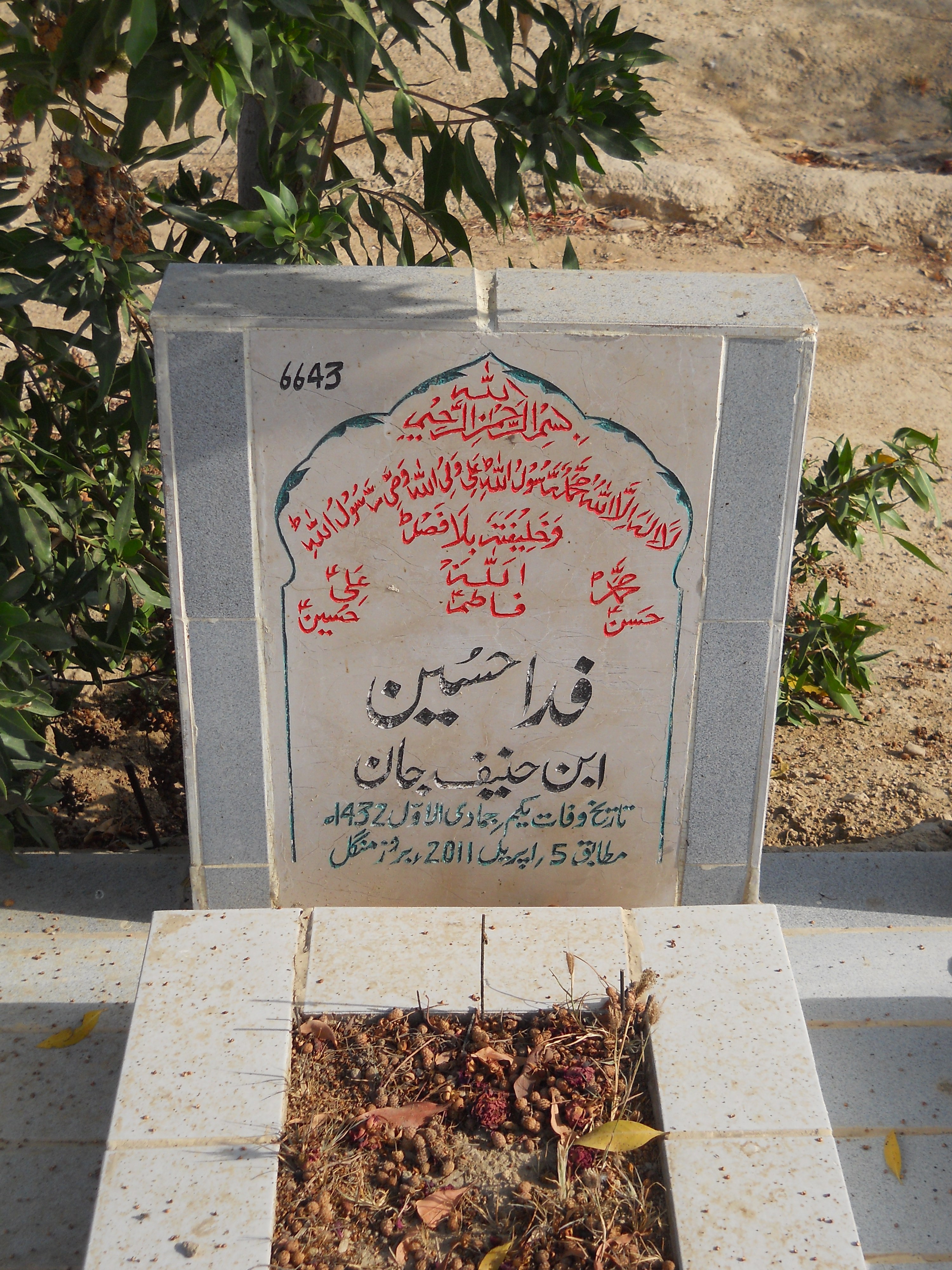 6643 – Fida Hussain