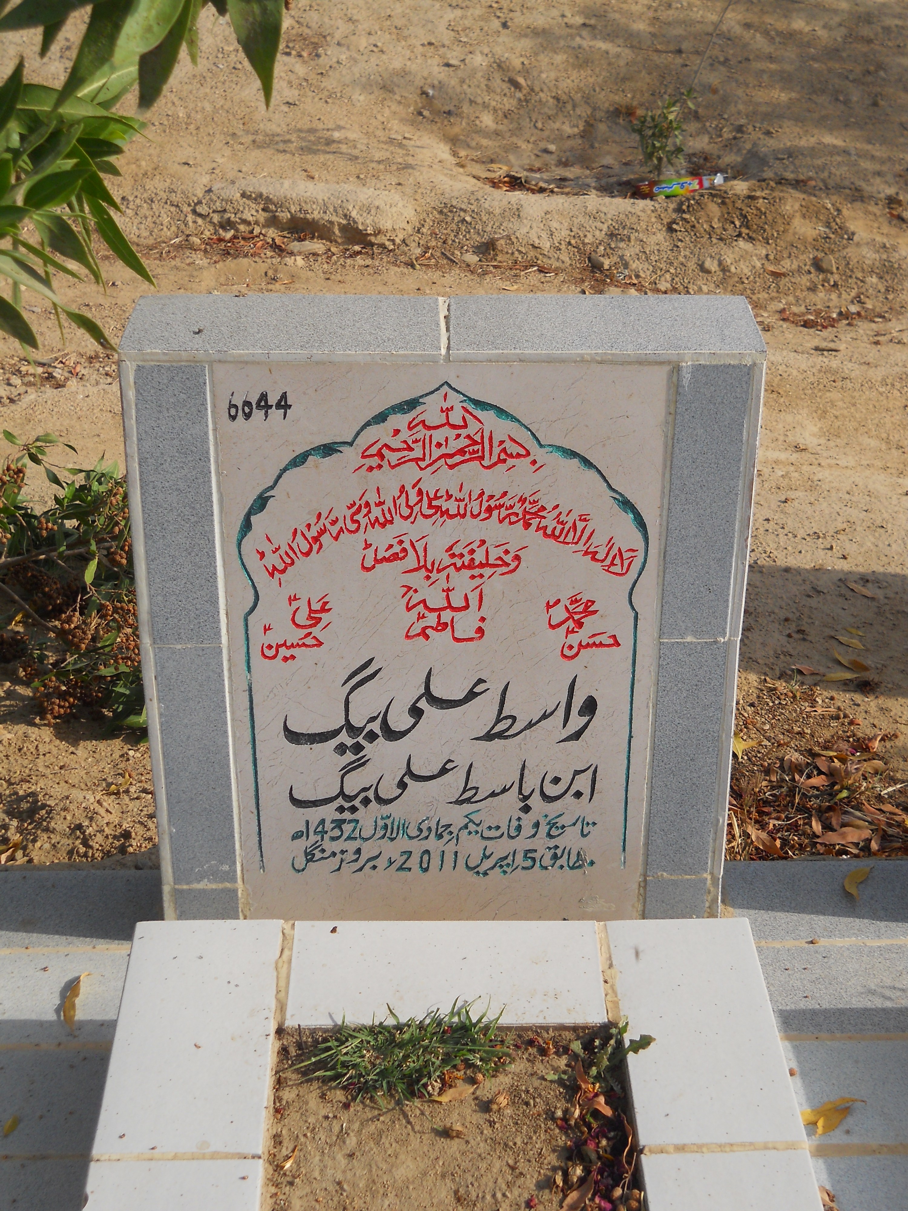 6644 – Wasit Ali Baig