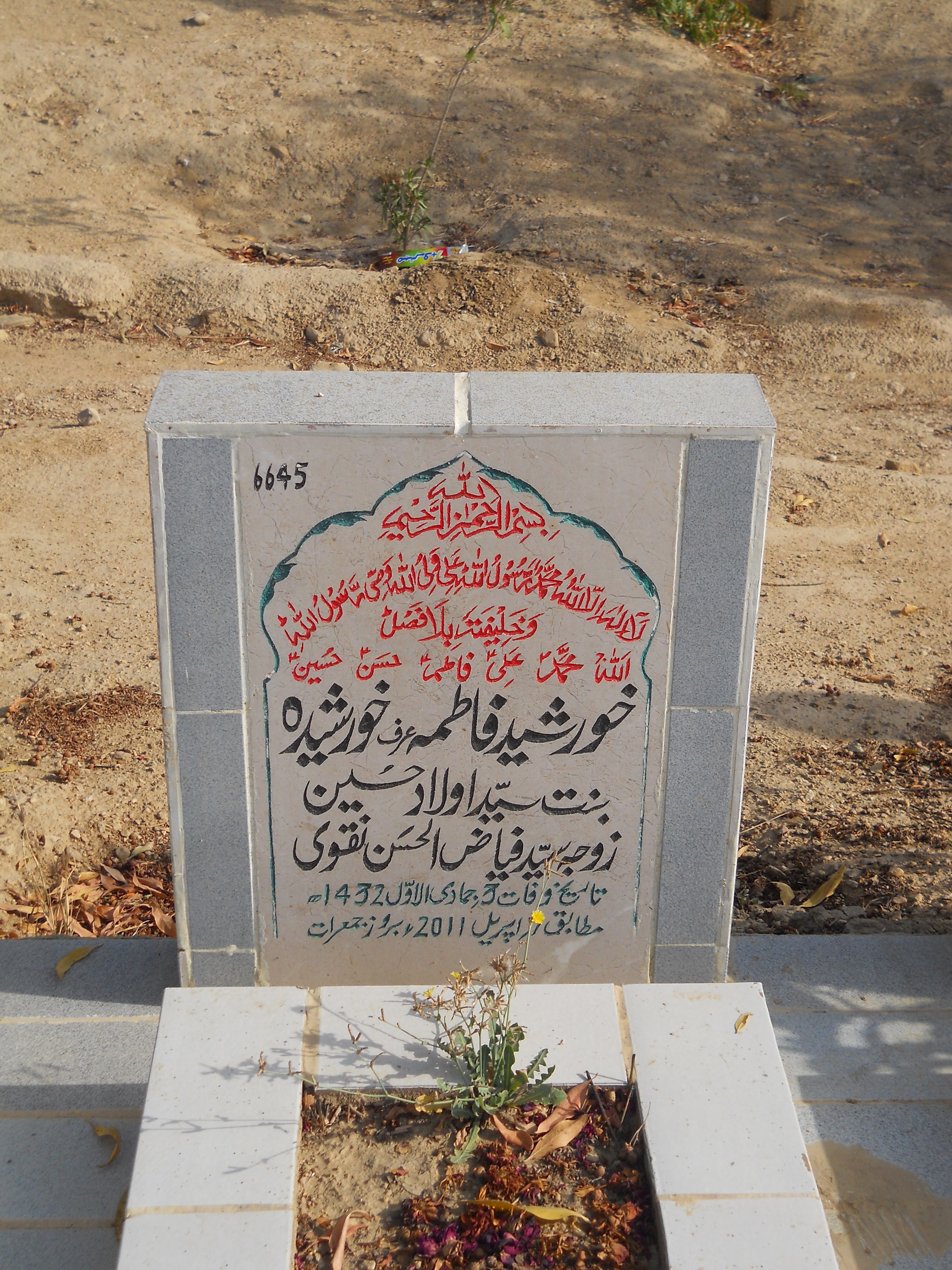 6645 – Khursheed Fatima