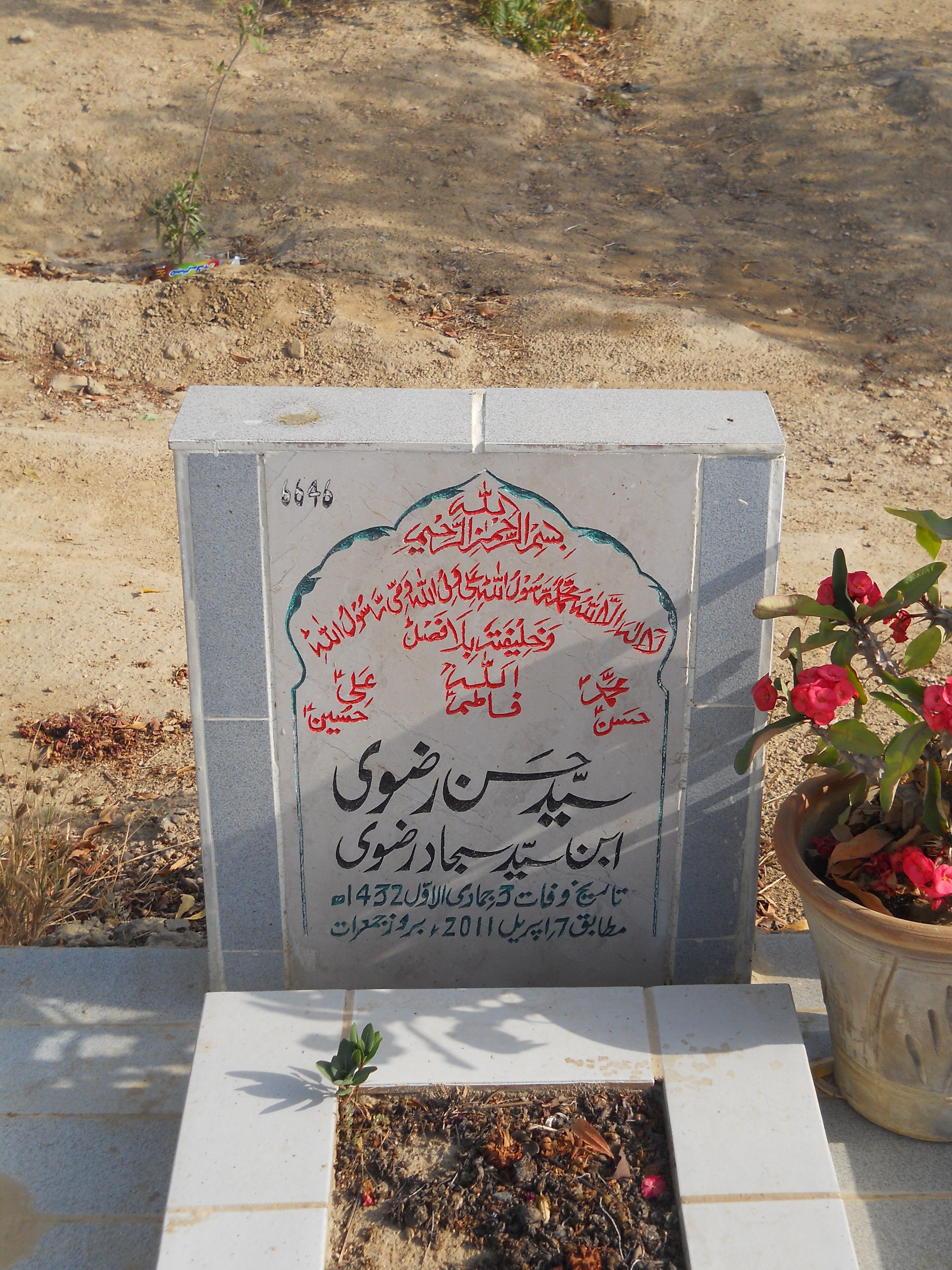 6646 – Syed Hasan Rizvi