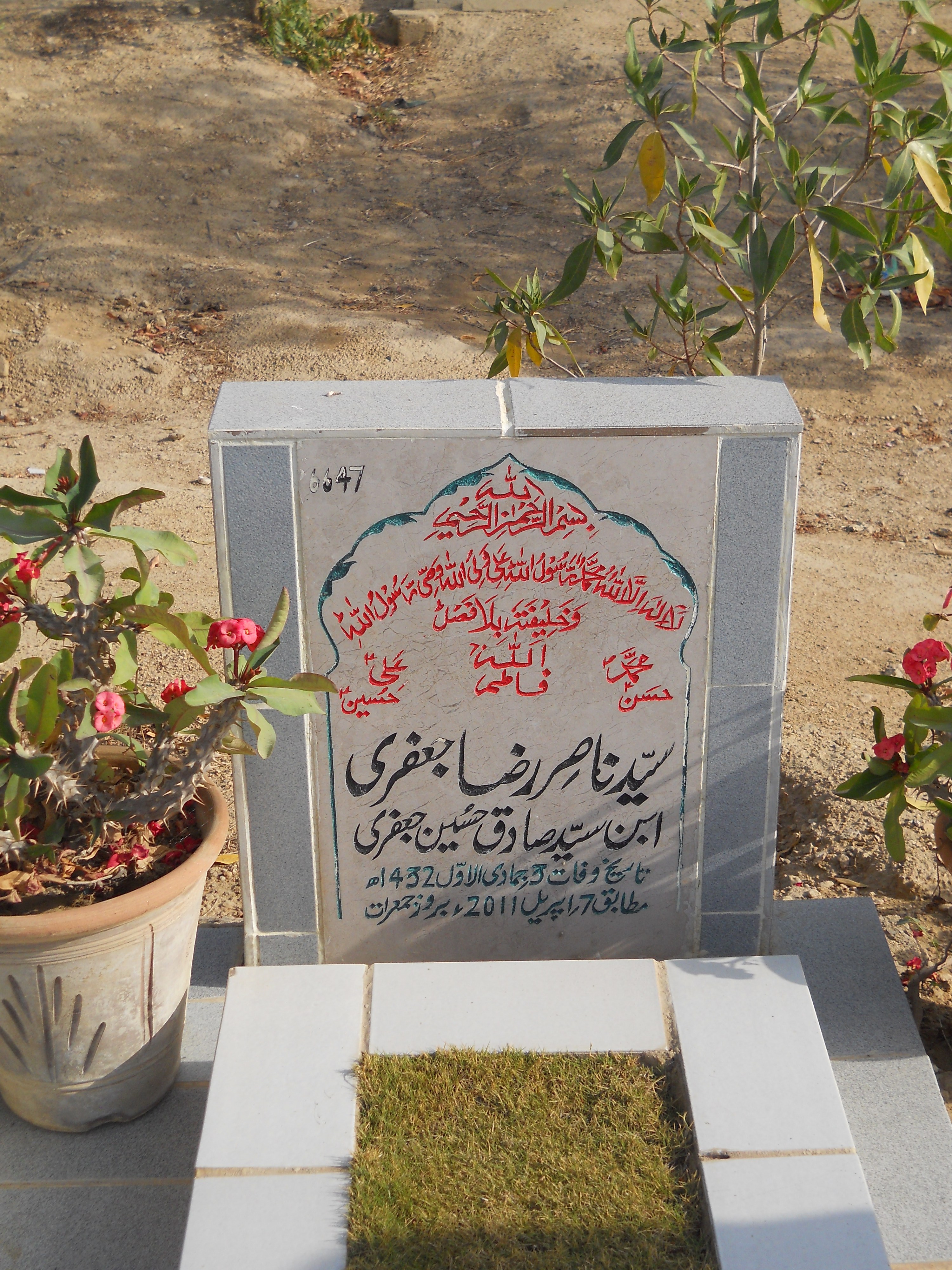 6647 – Syed Nasir Raza Jaffery