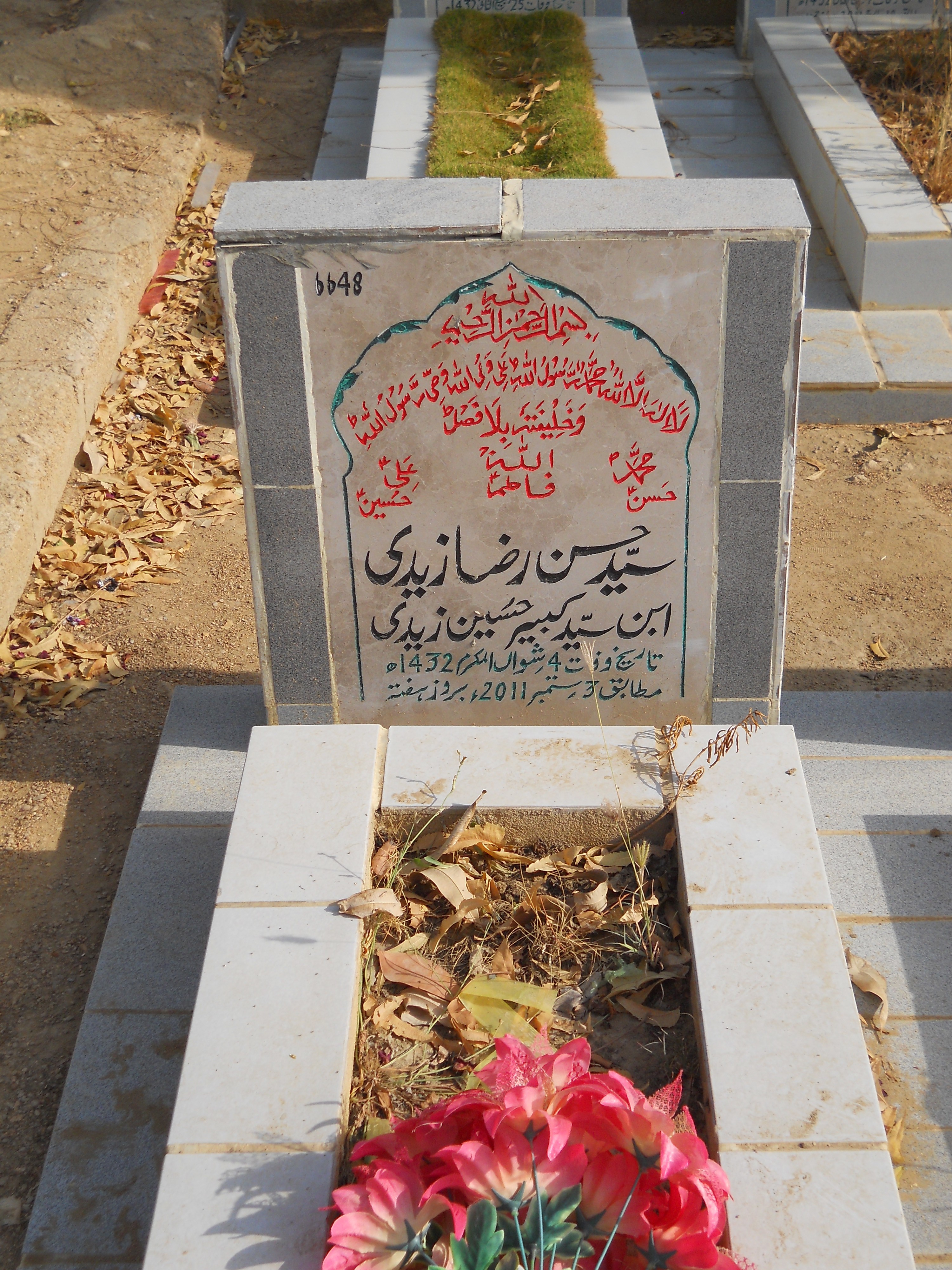 6648 – Syed Hasan Raza Zaidi