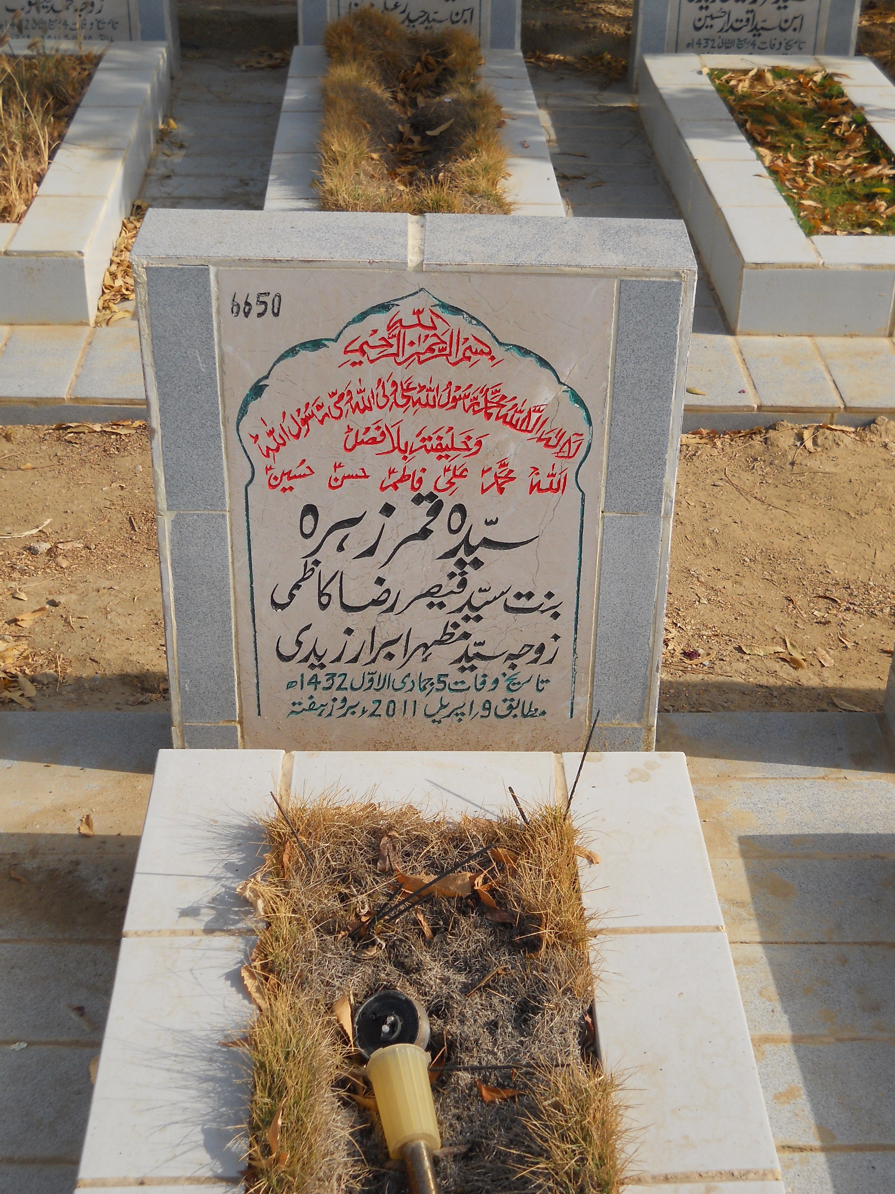 6650 – Syeda Qamar Zehra