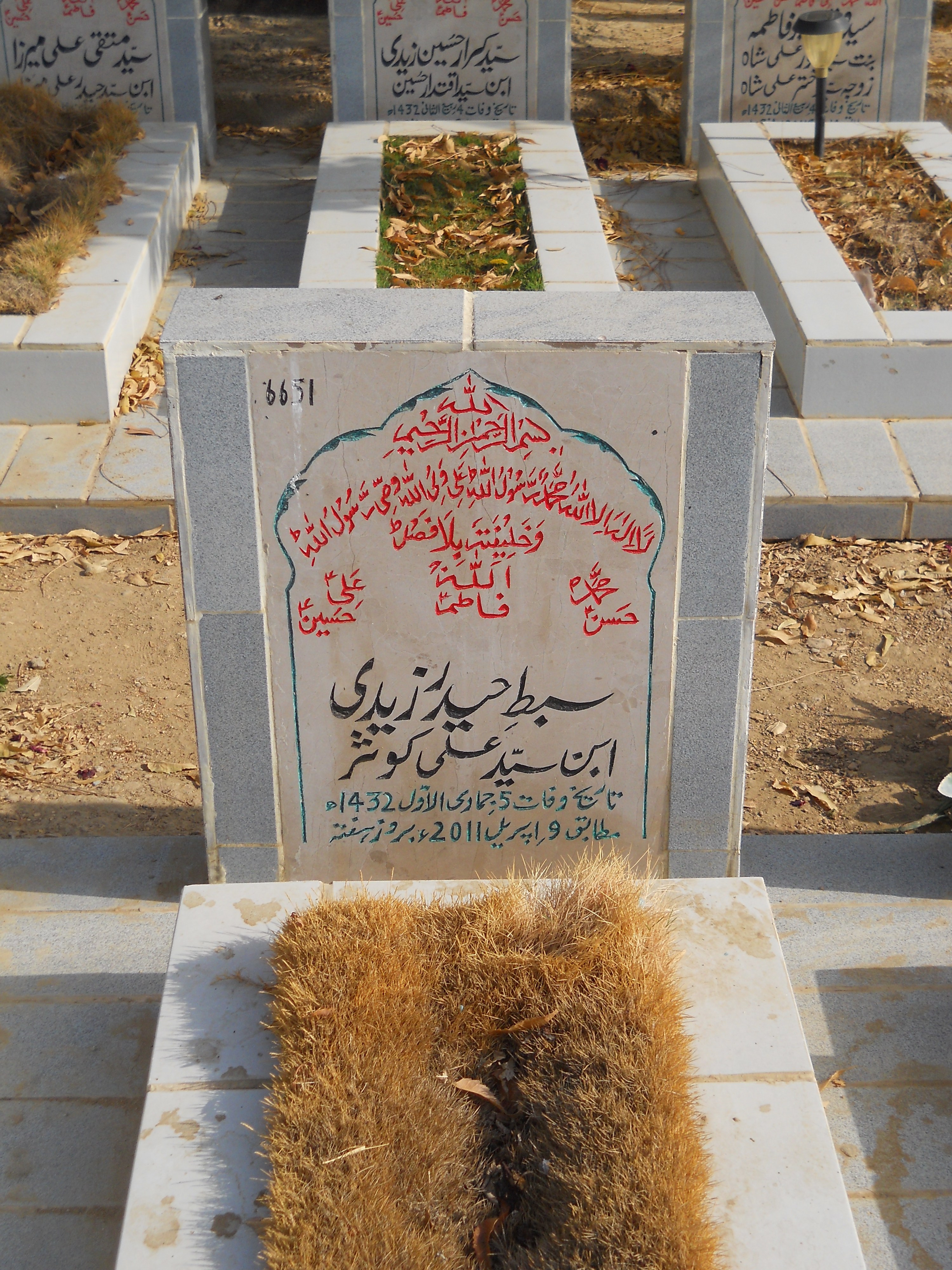 6651 – Sibtay Haider Zaidi