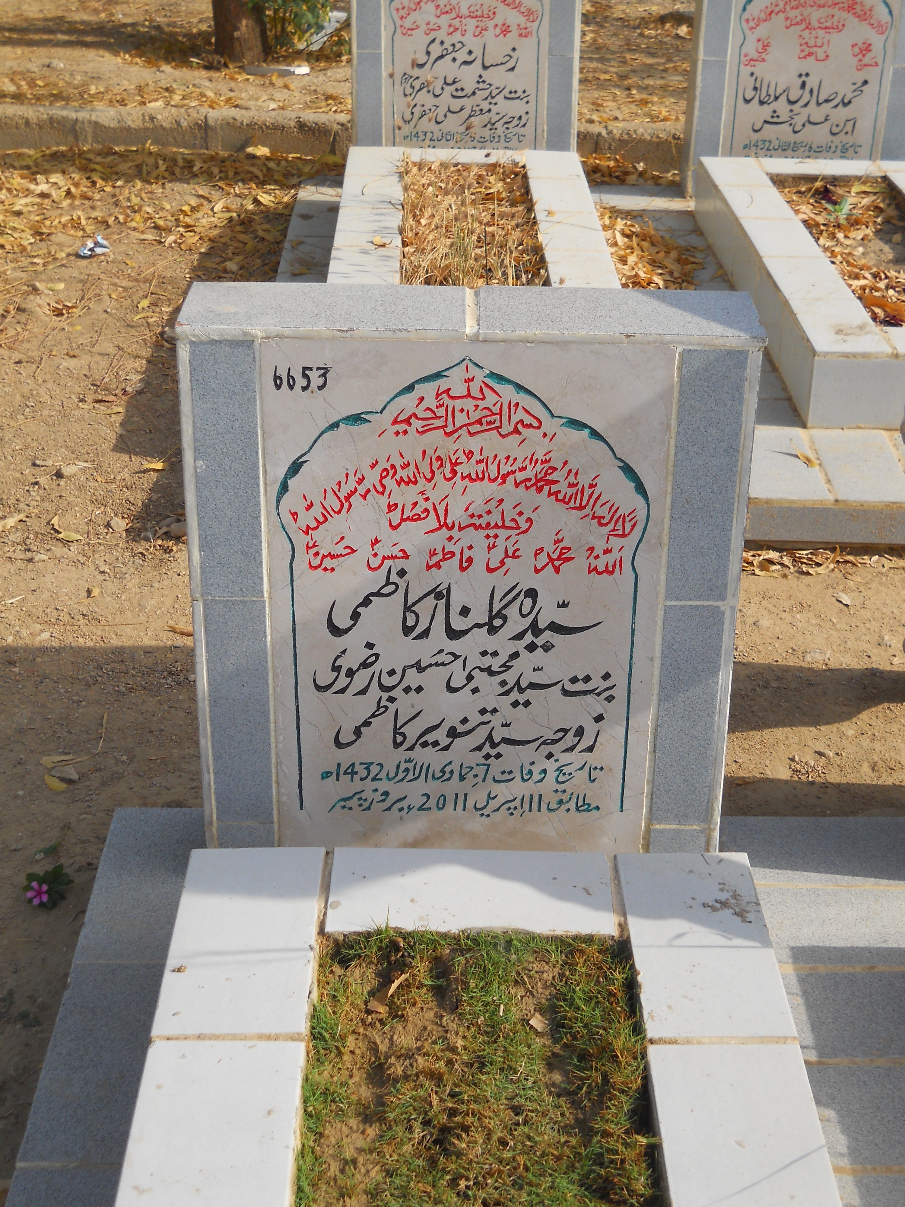 6653 – Syeda Gulnaz Kazmi