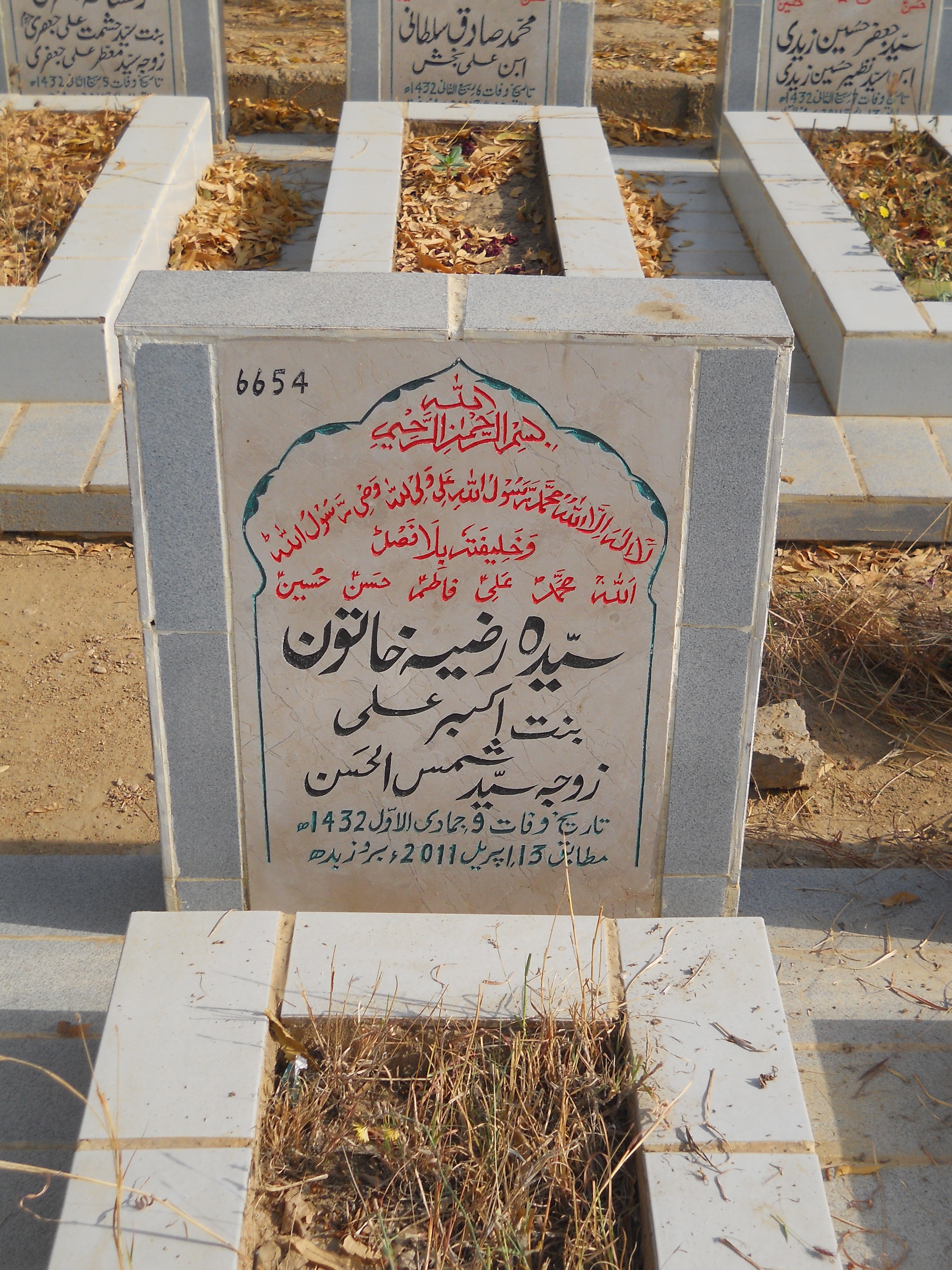 6654 – Syeda Razia Khatoon