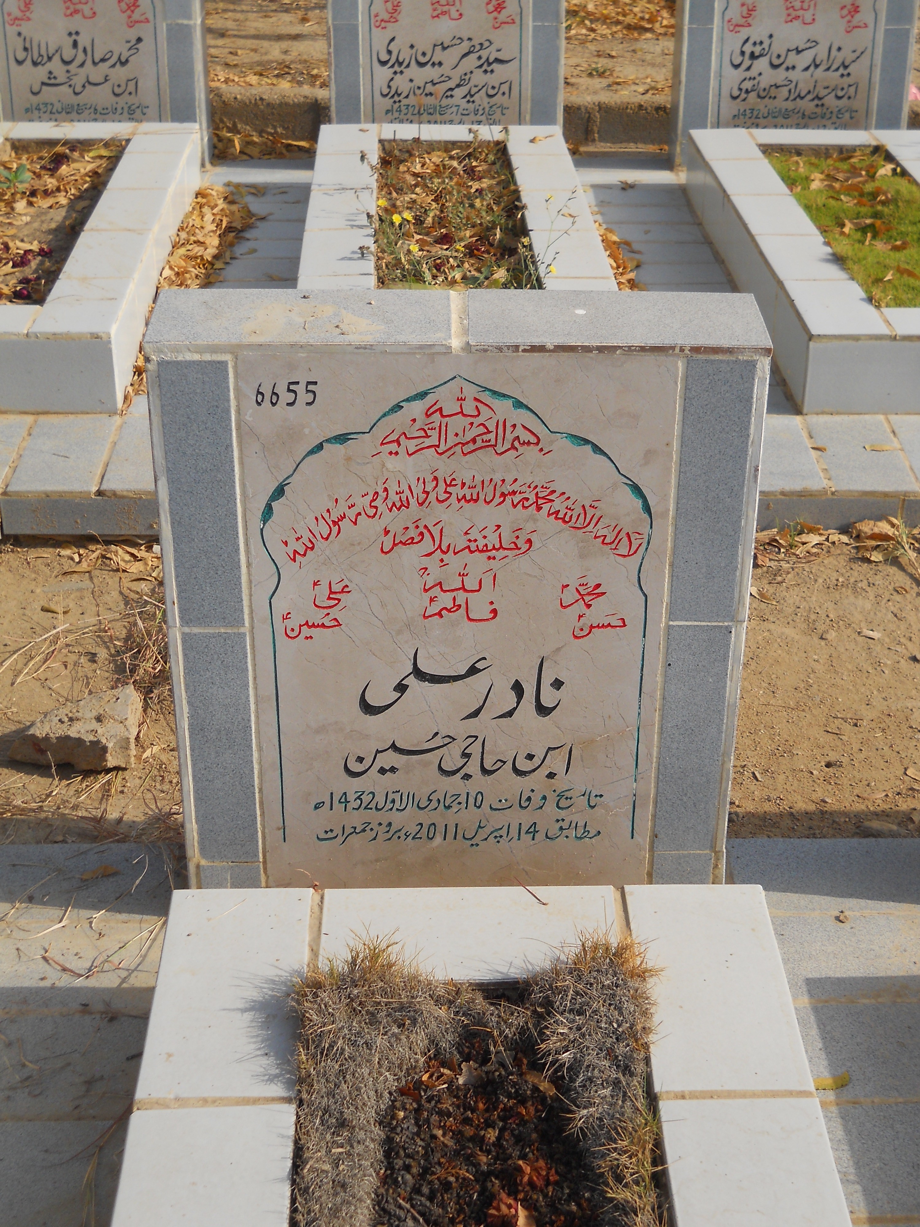 6655 – Nadir Ali