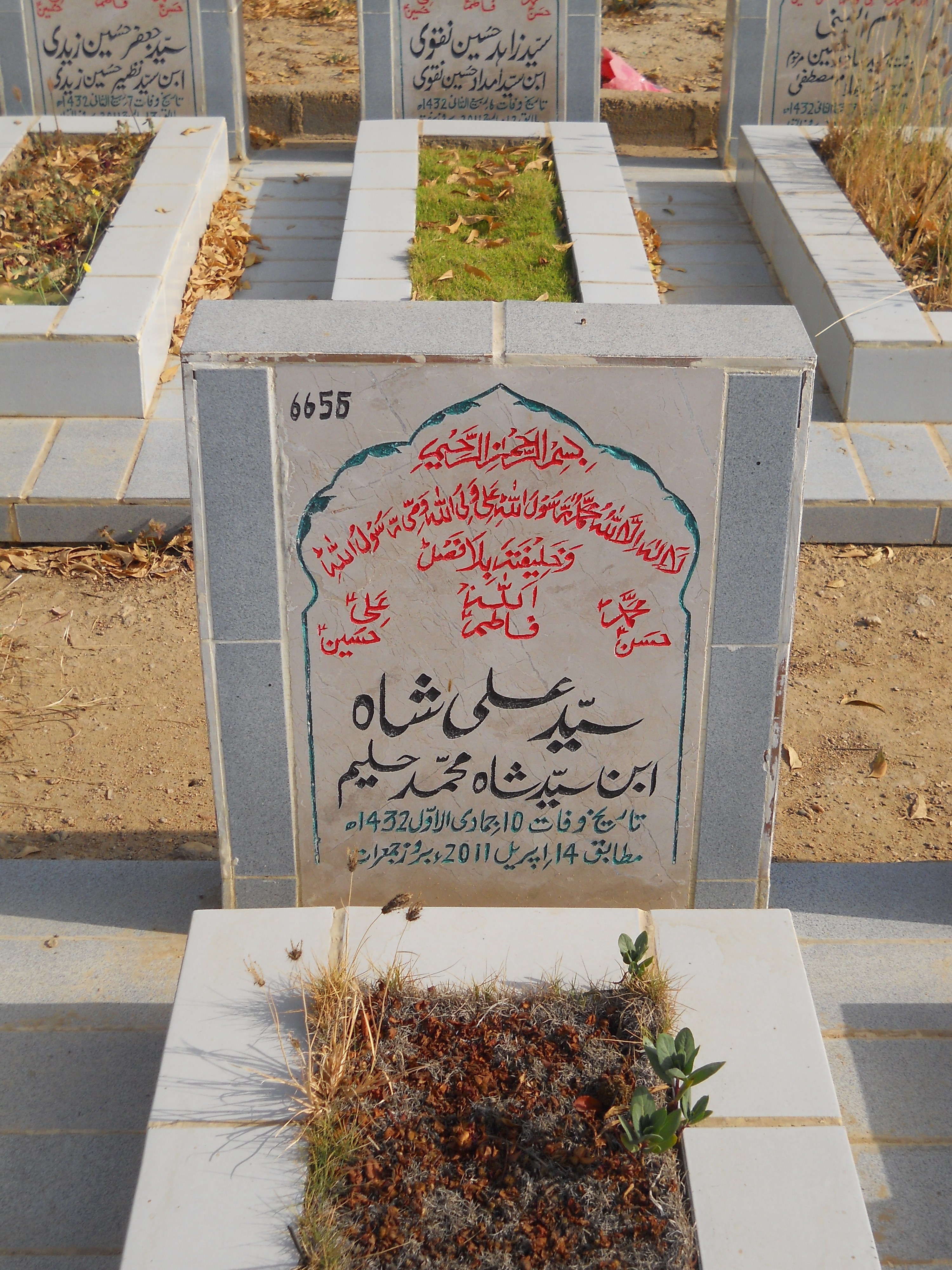 6656 – Syed Ali Shah