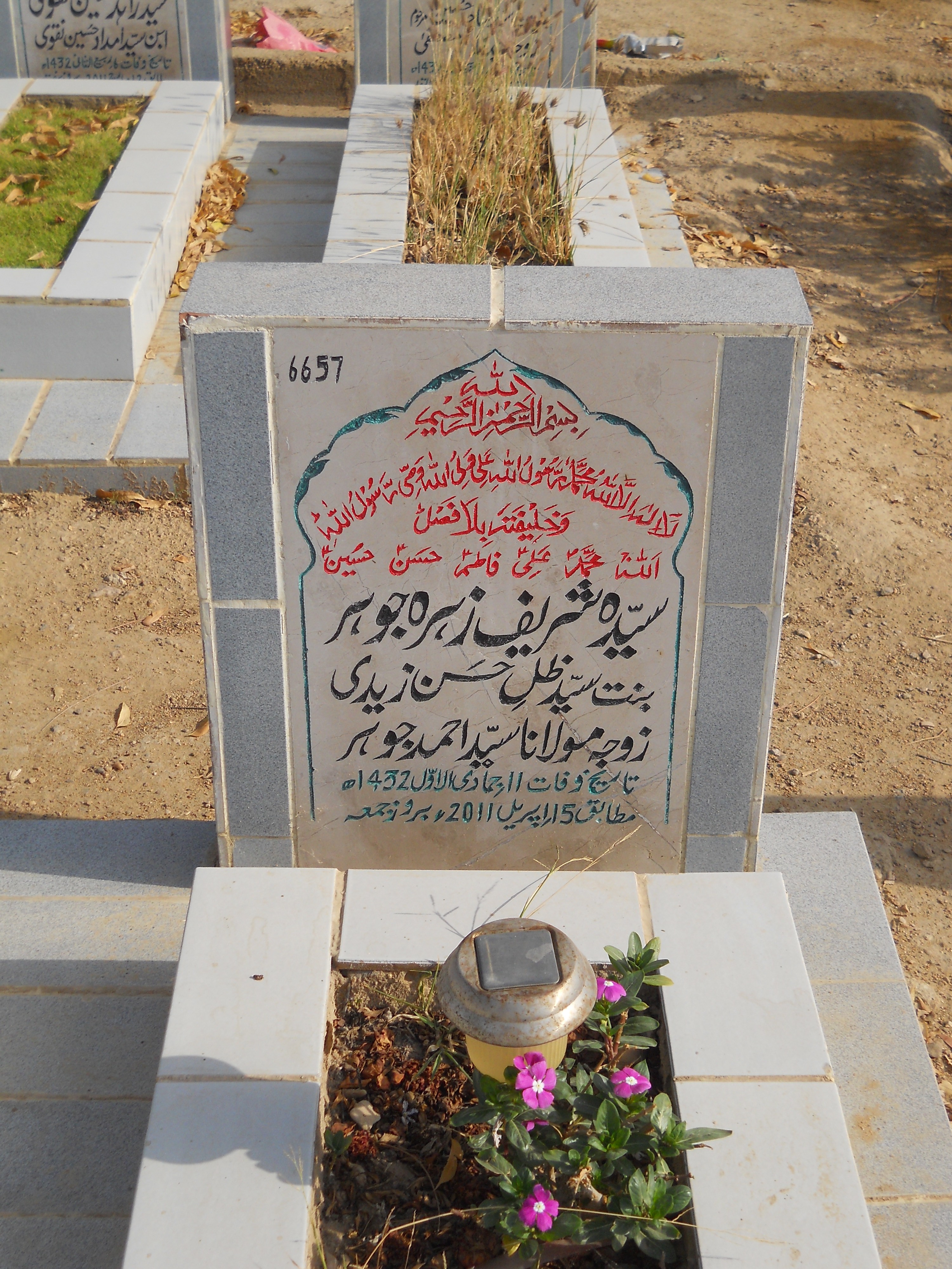 6657 – Syeda Shareef Zehra johar