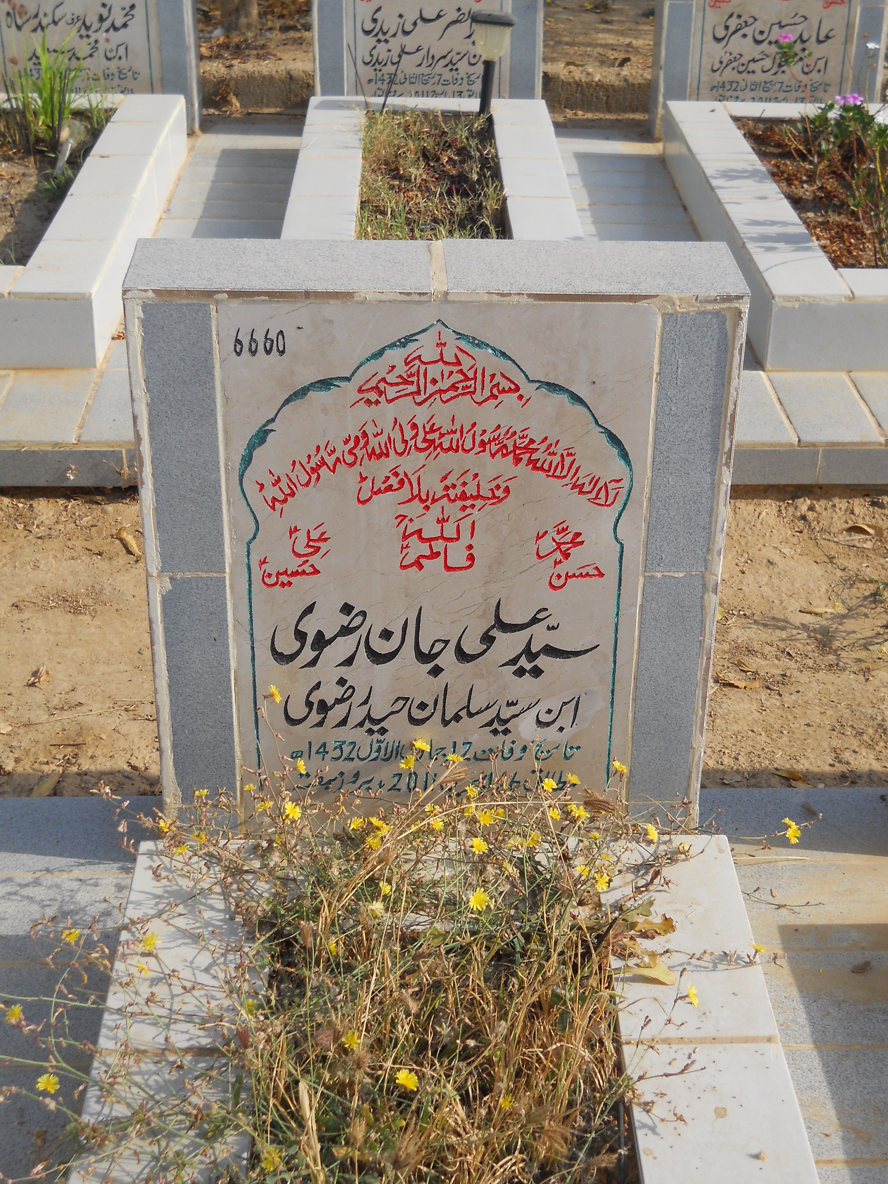 6660 – Syed Ali Jan Rizvi