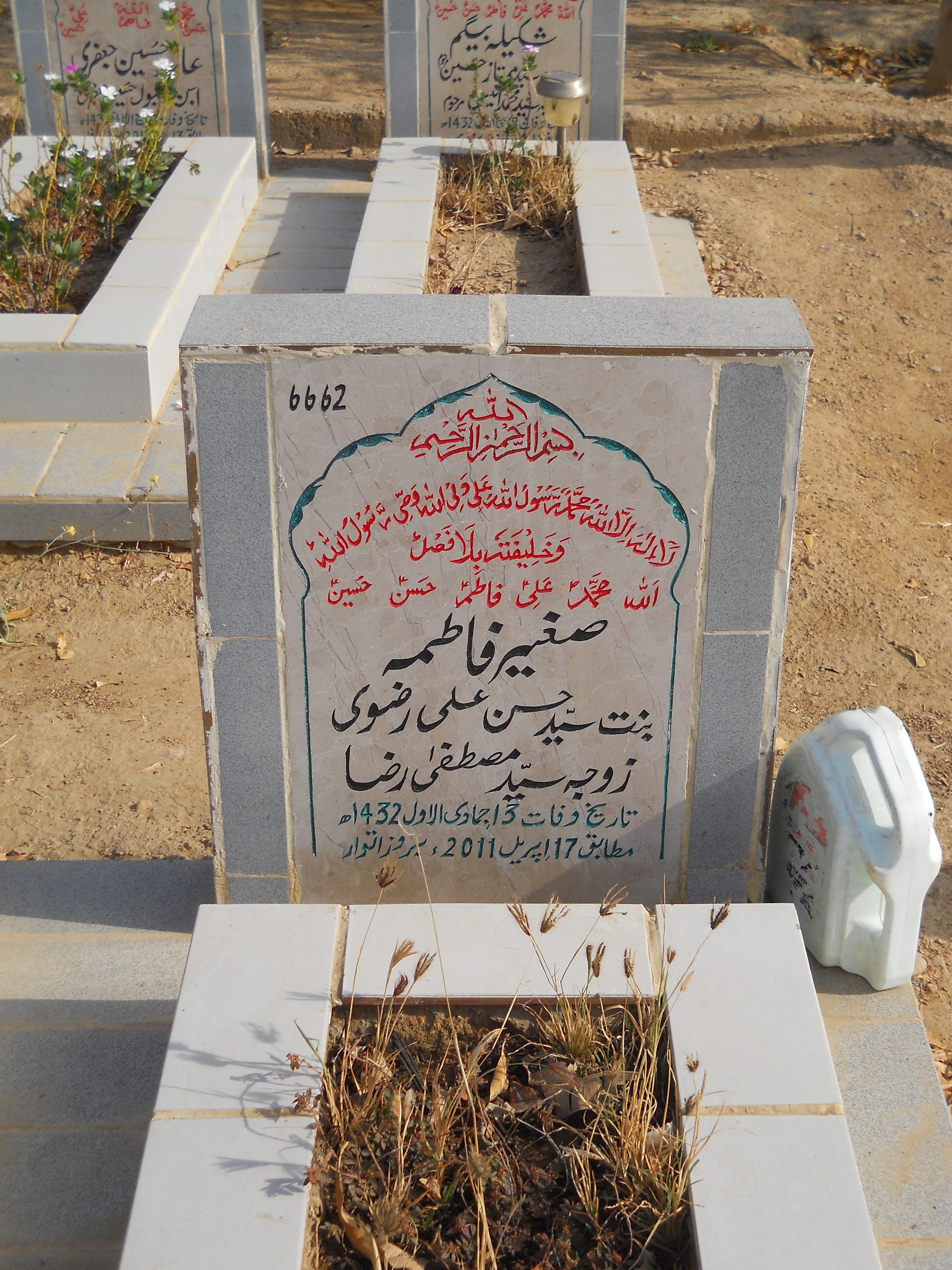 6662 – Sagheer Fatima
