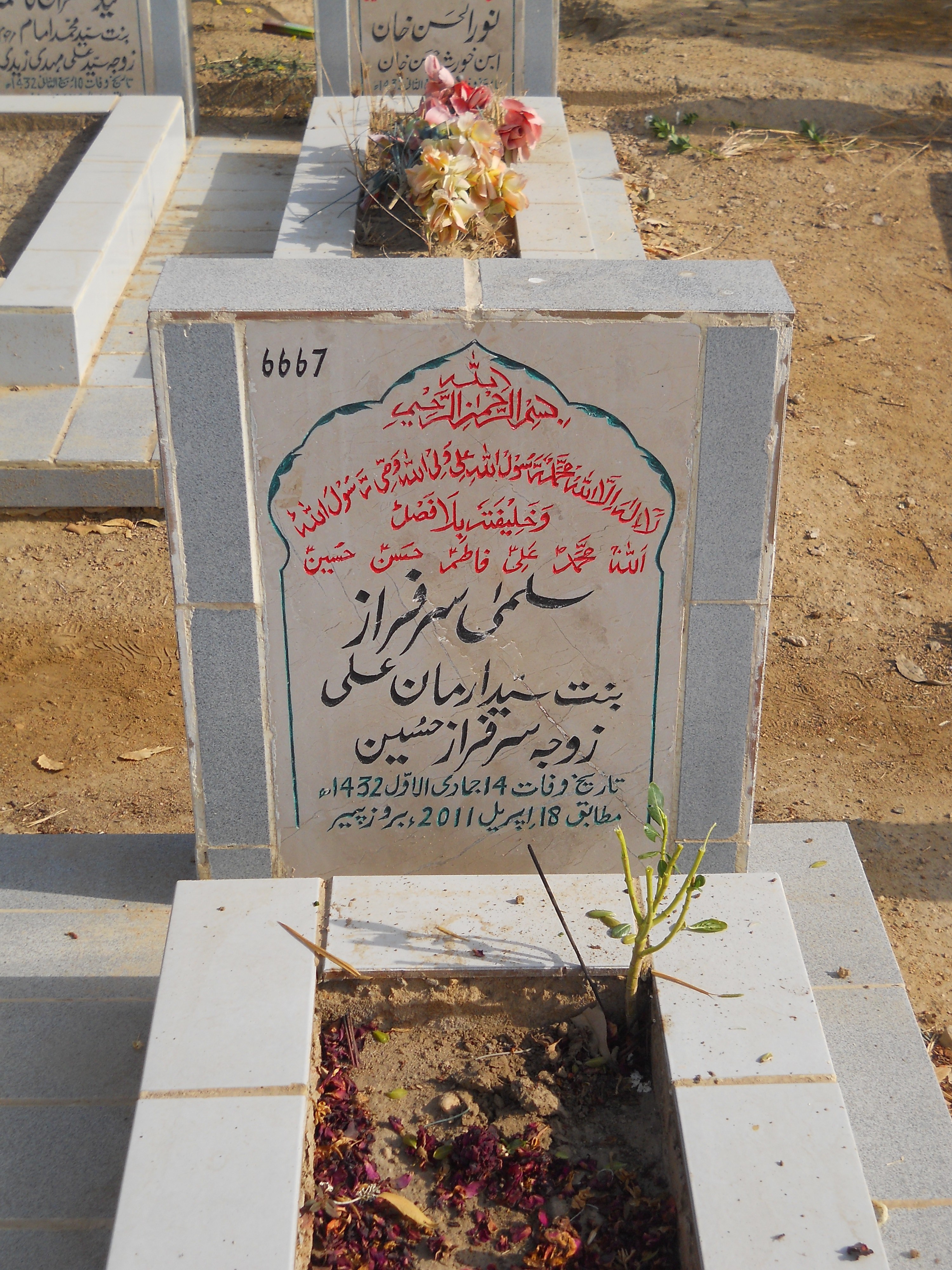 6667 – Salma Sarfaraz