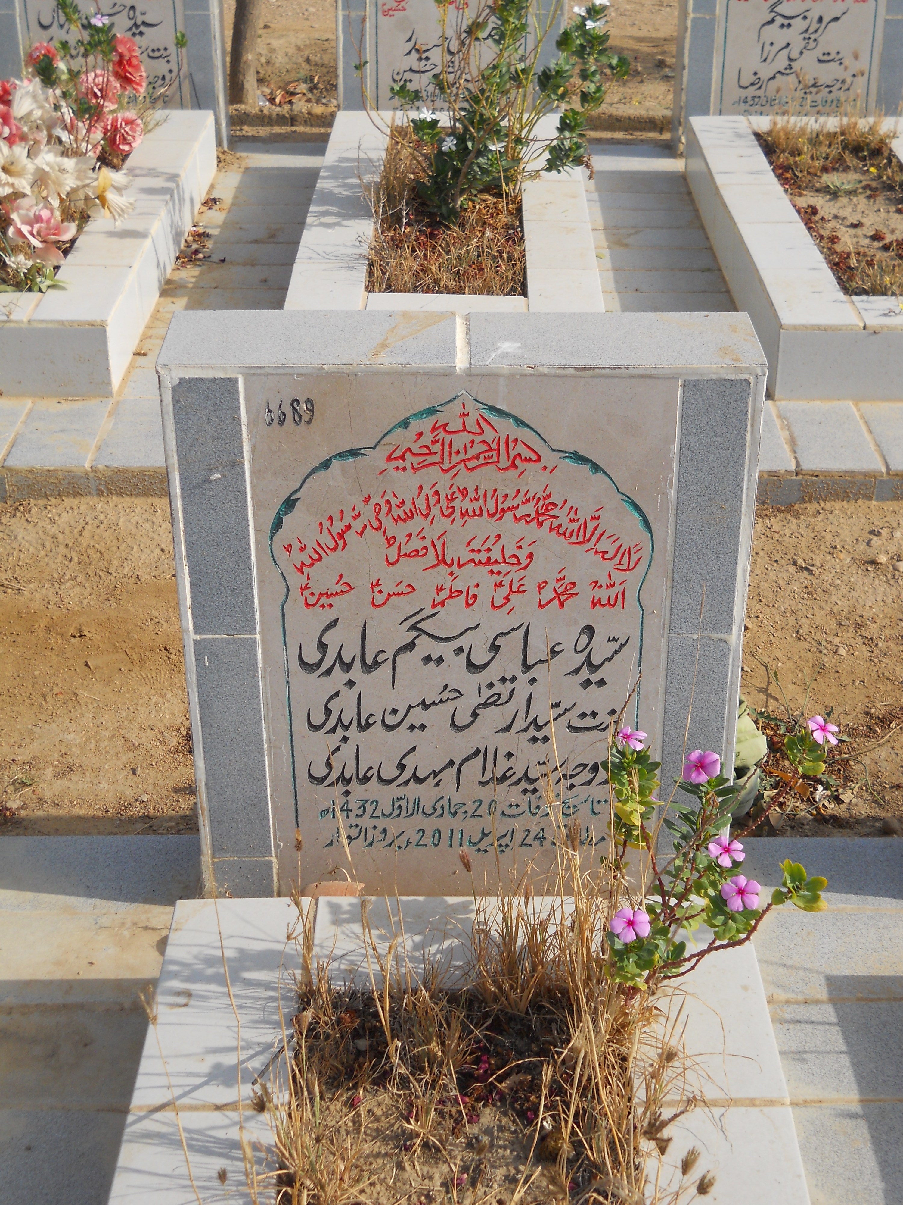 6689 – Syeda Abbasi Begum